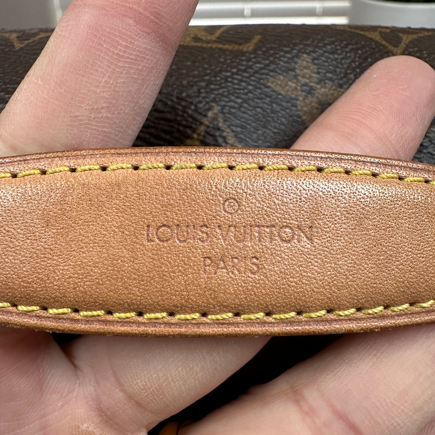 Louis Vuitton Monogram Bum Bag
