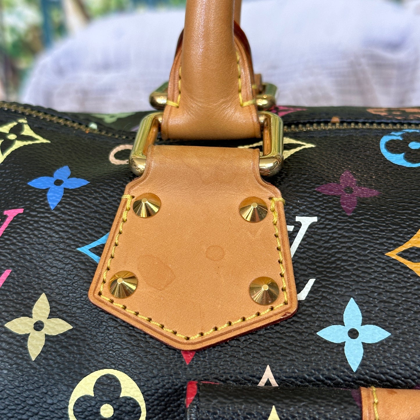 Louis Vuitton Murakami Black Multicolor Speedy 30