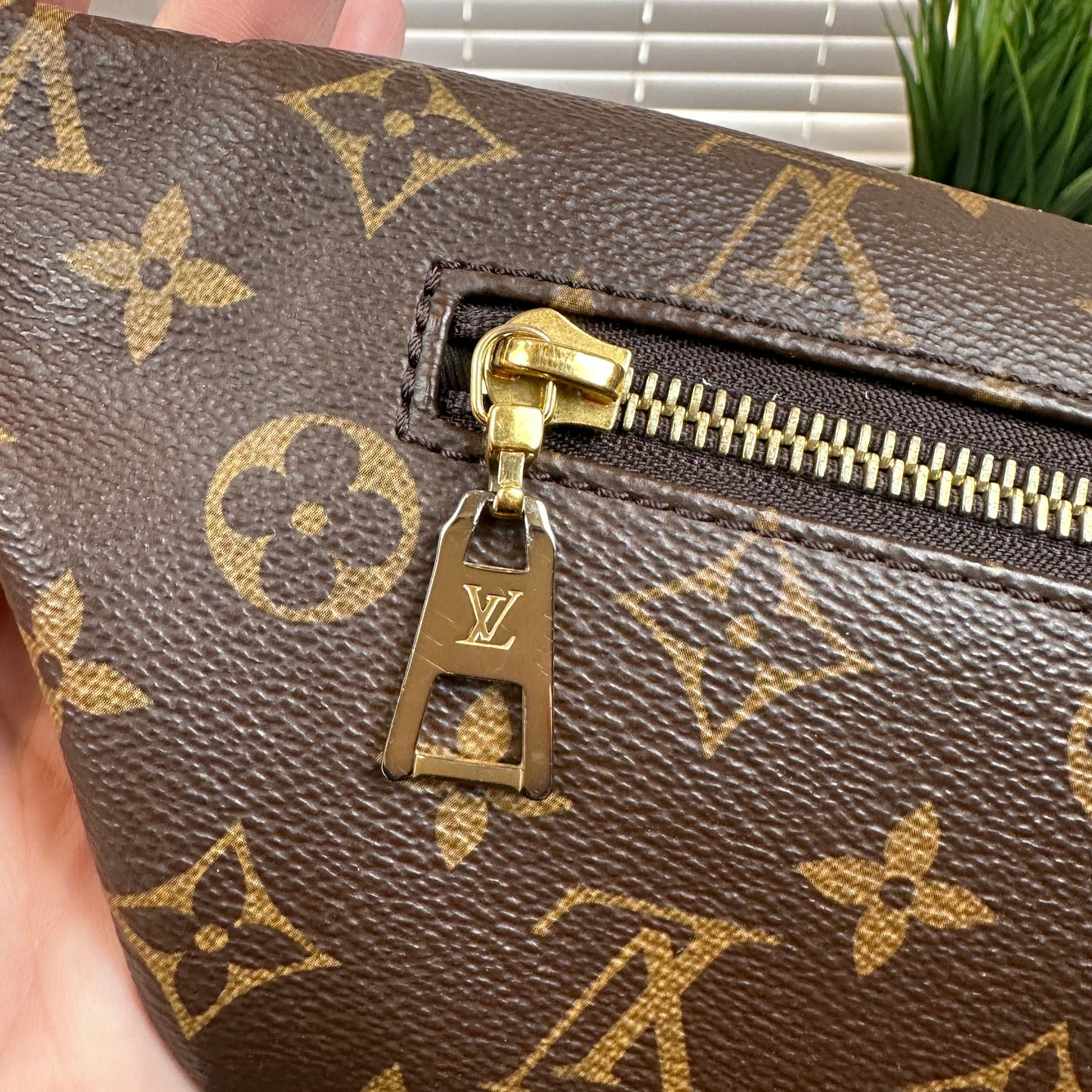 Louis Vuitton Monogram Bum Bag