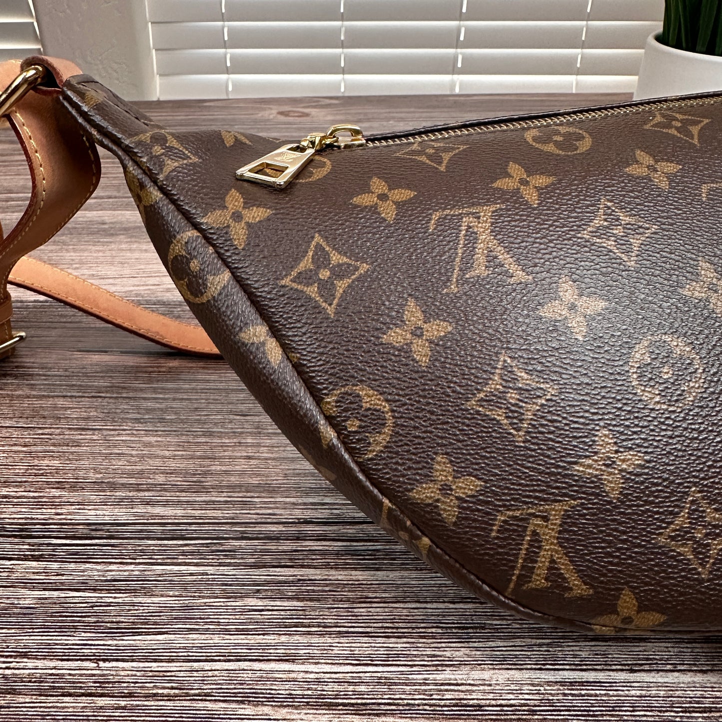Louis Vuitton Monogram Bum Bag