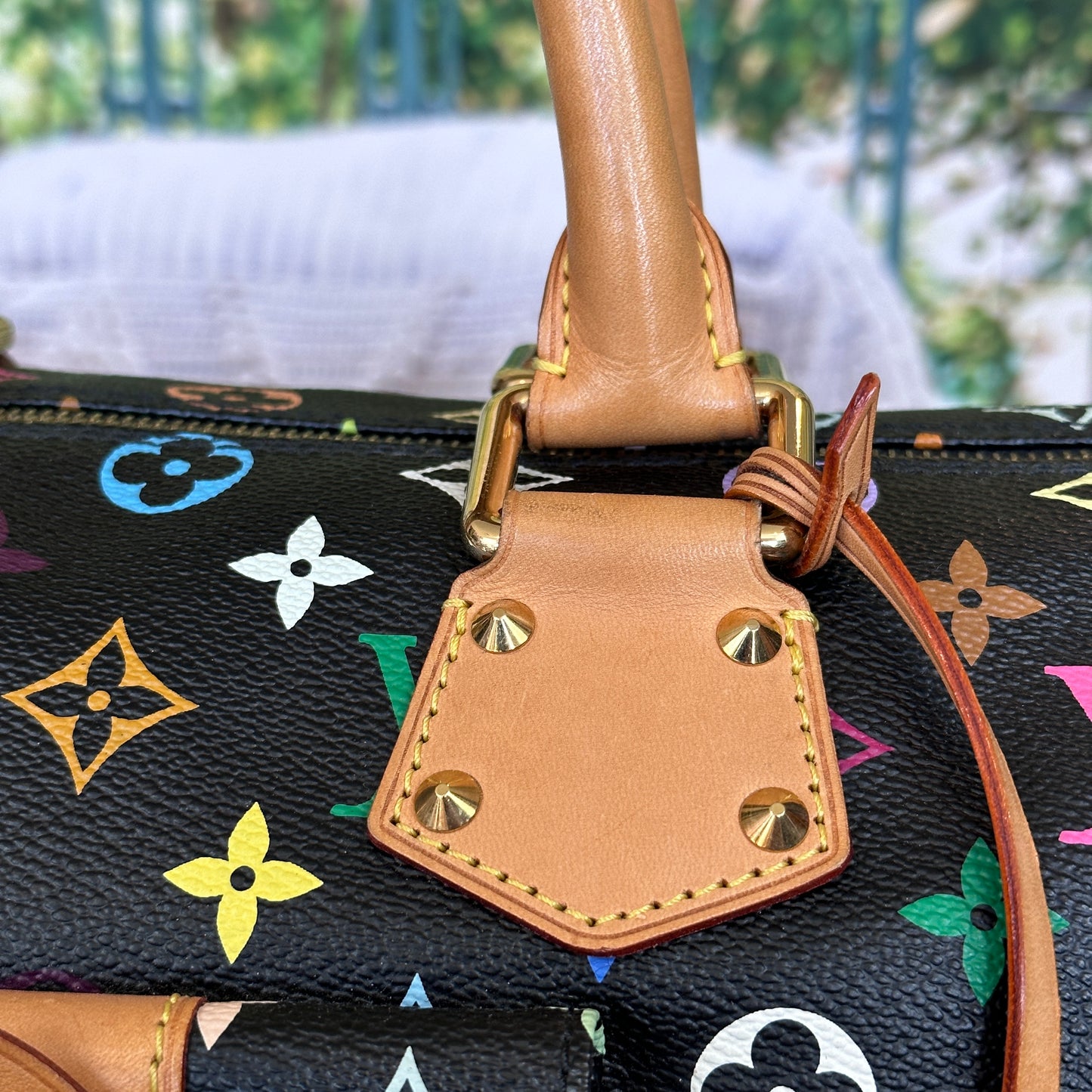 Louis Vuitton Murakami Black Multicolor Speedy 30