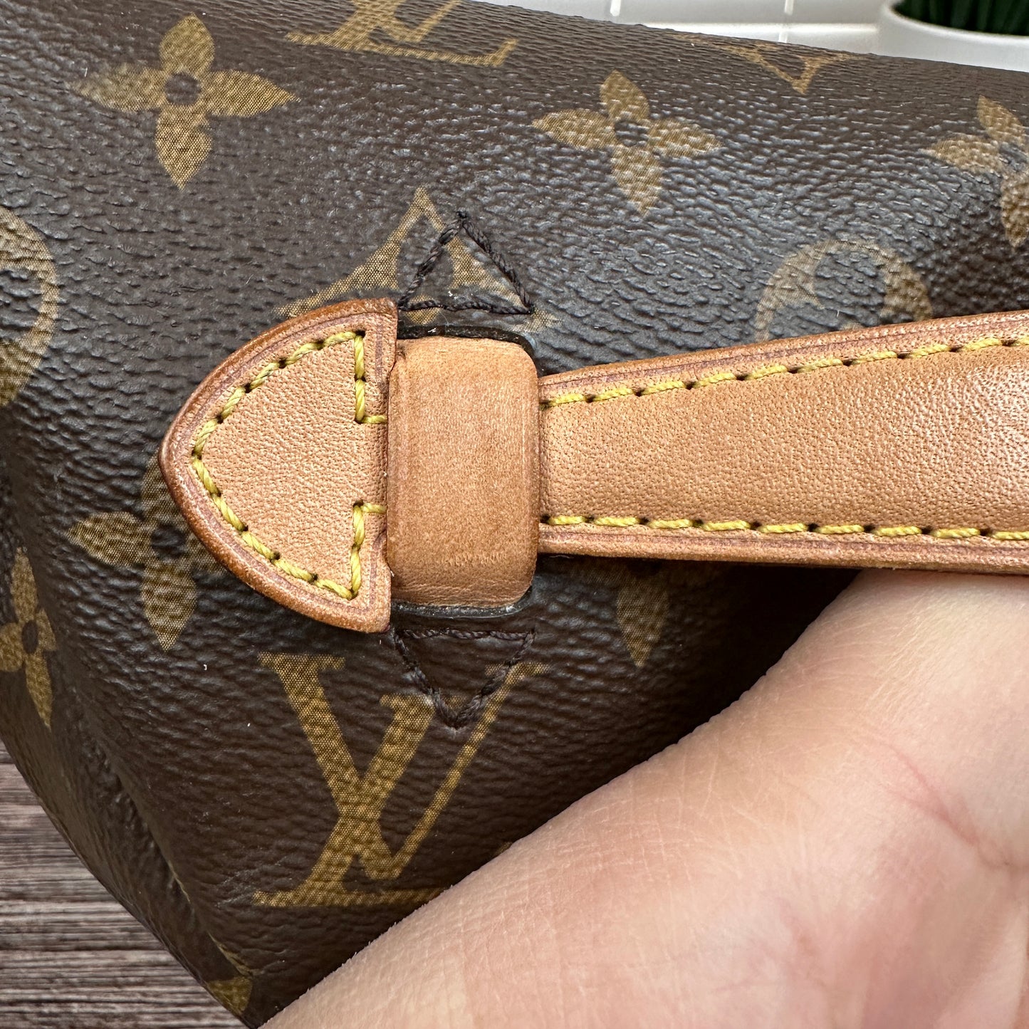 Louis Vuitton Monogram Bum Bag