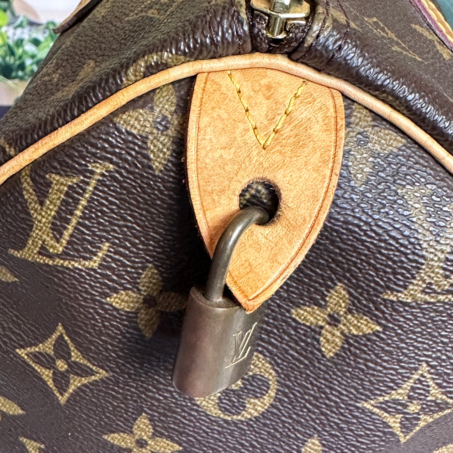 Louis Vuitton Monogram Speedy 30