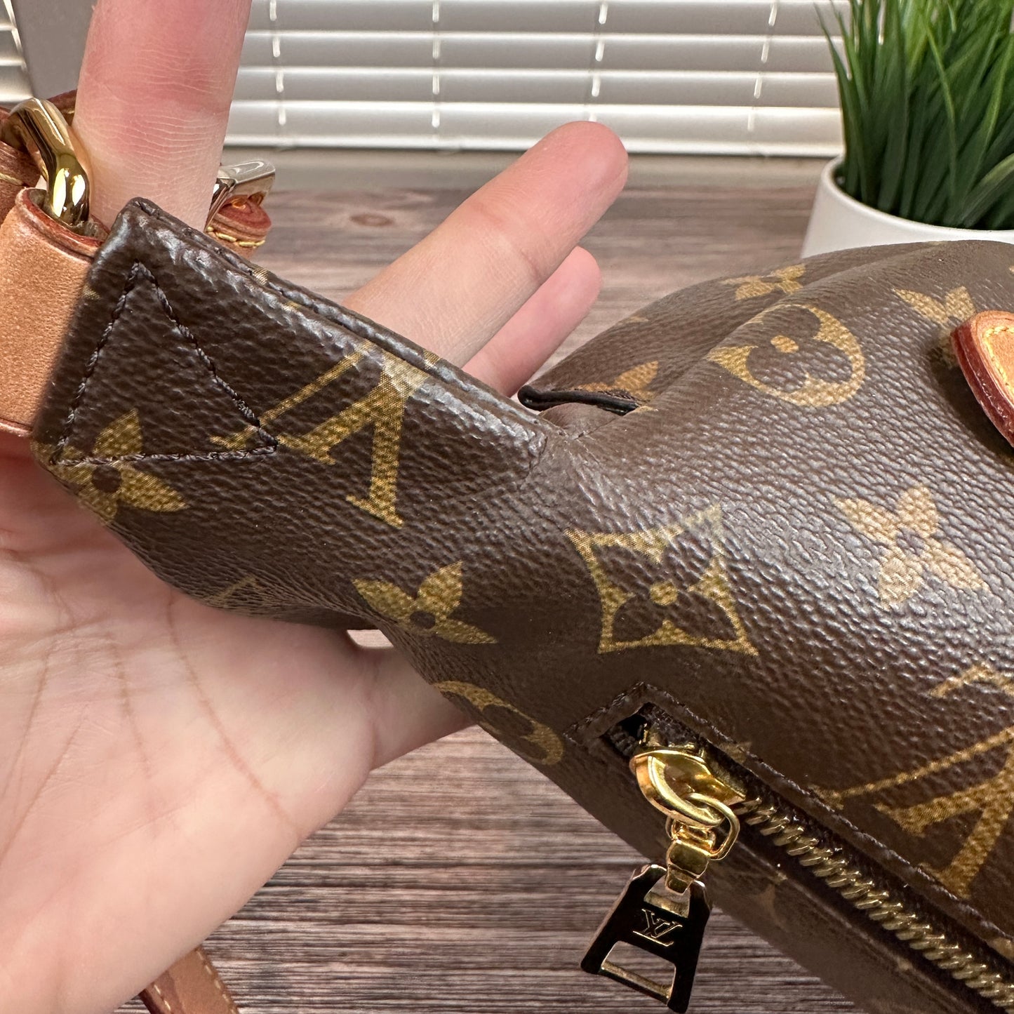 Louis Vuitton Monogram Bum Bag