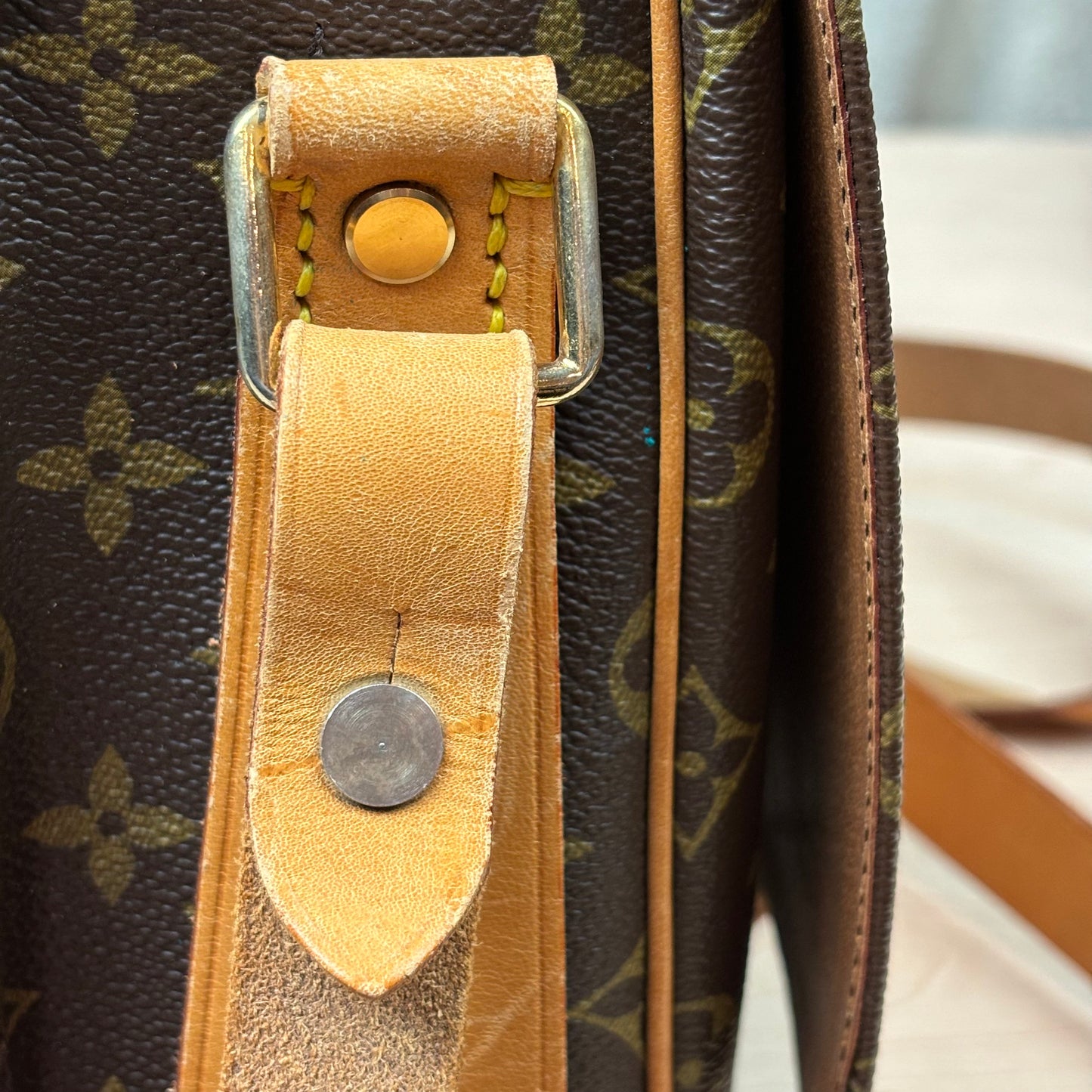 Cartouchiere GM Crossbody Bag