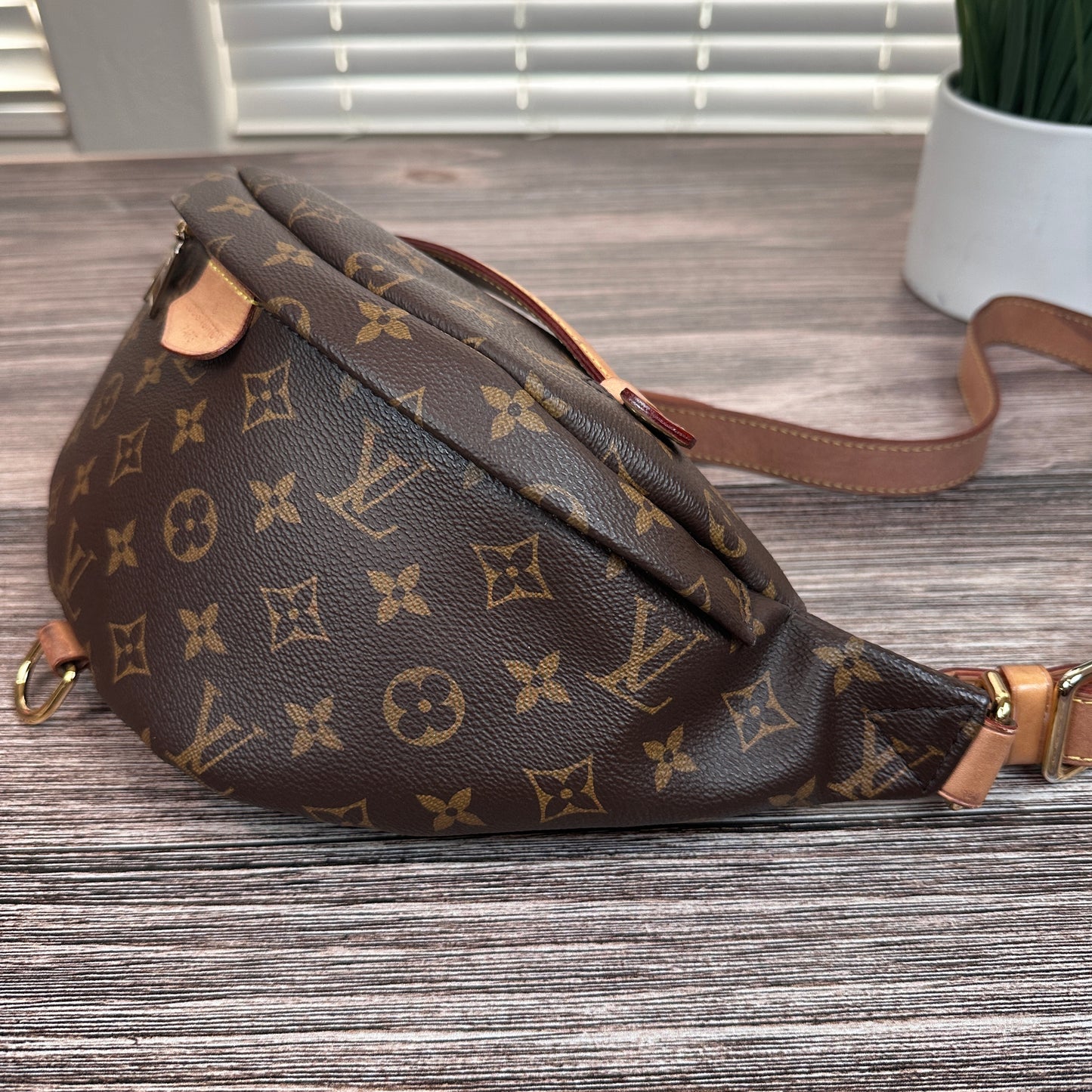 Louis Vuitton Monogram Bum Bag