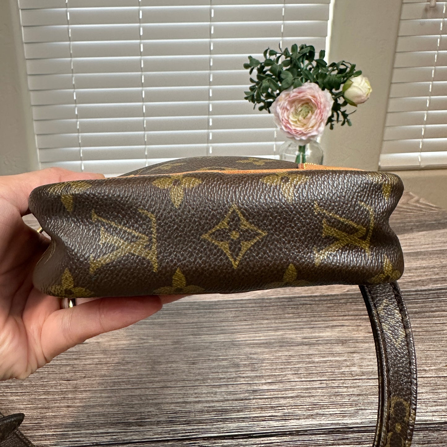 Louis Vuitton Vintage Danube PM Crossbody