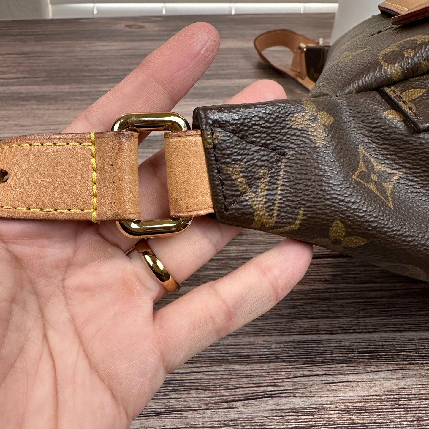 Louis Vuitton Monogram Bum Bag
