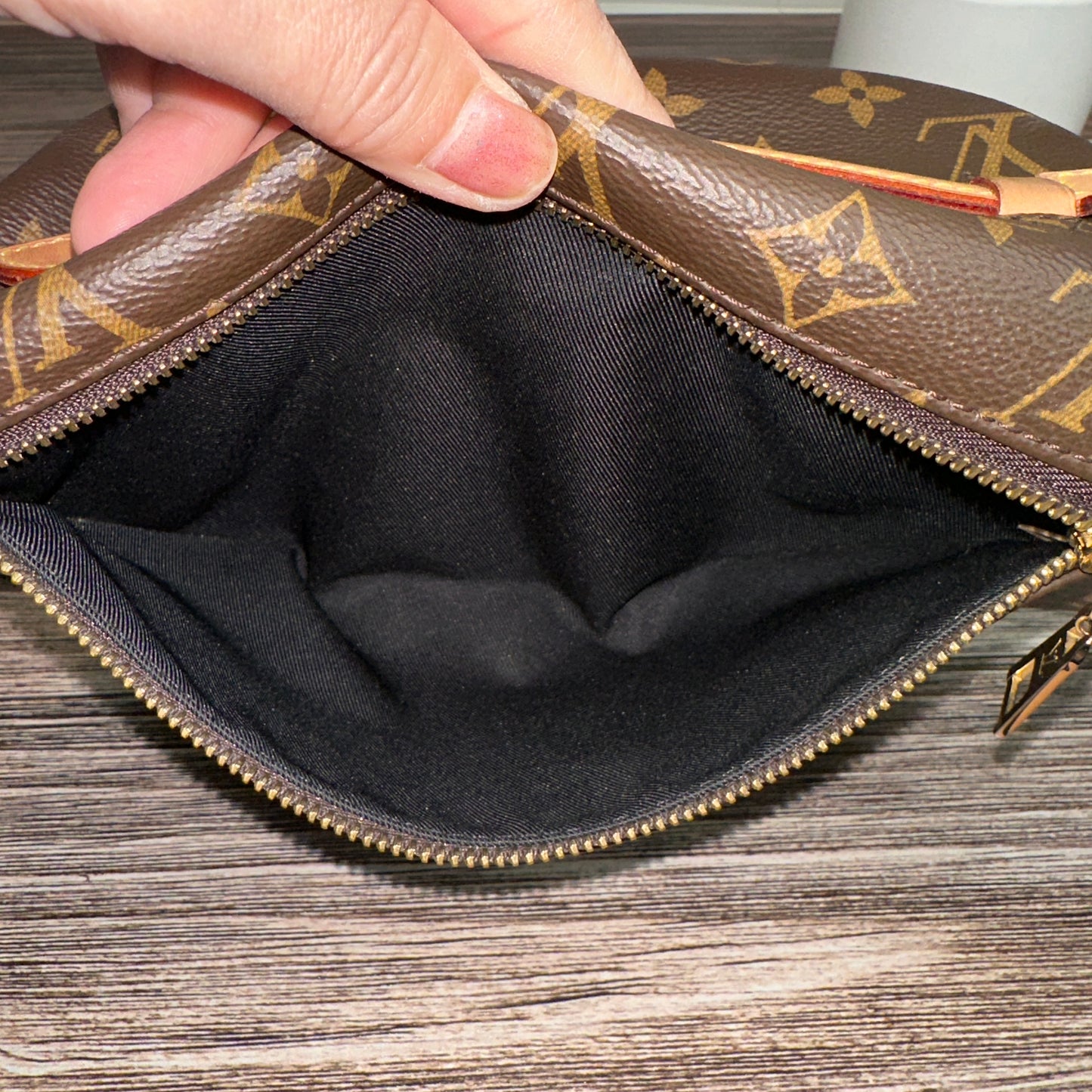 Louis Vuitton Monogram Bum Bag