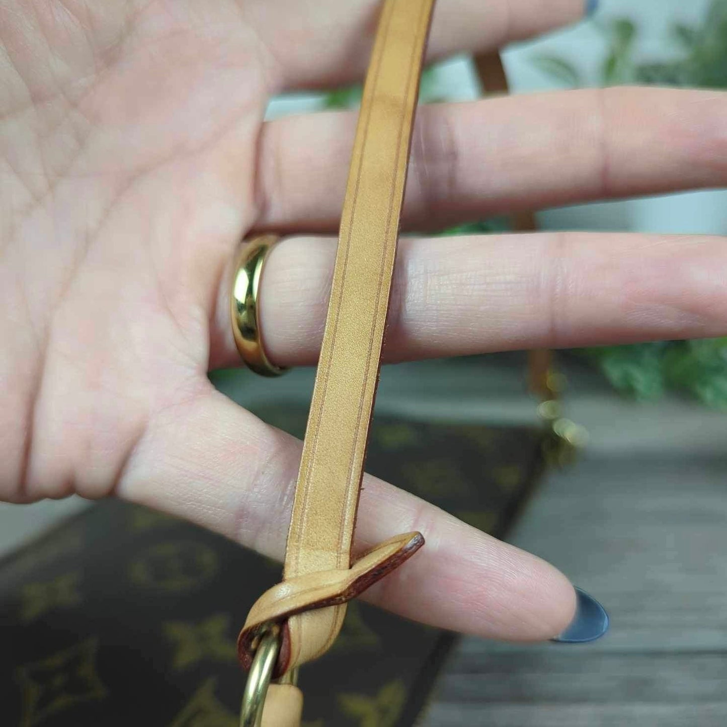 Louis Vuitton Pochette Accessories Monogram