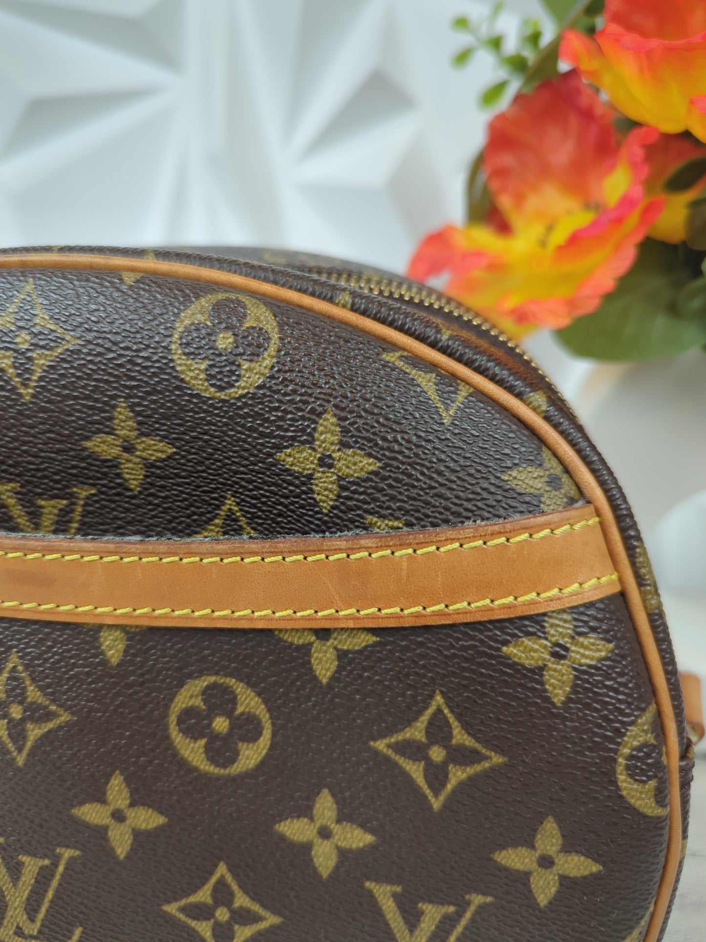 Louis Vuitton Blois Crossbody Bag