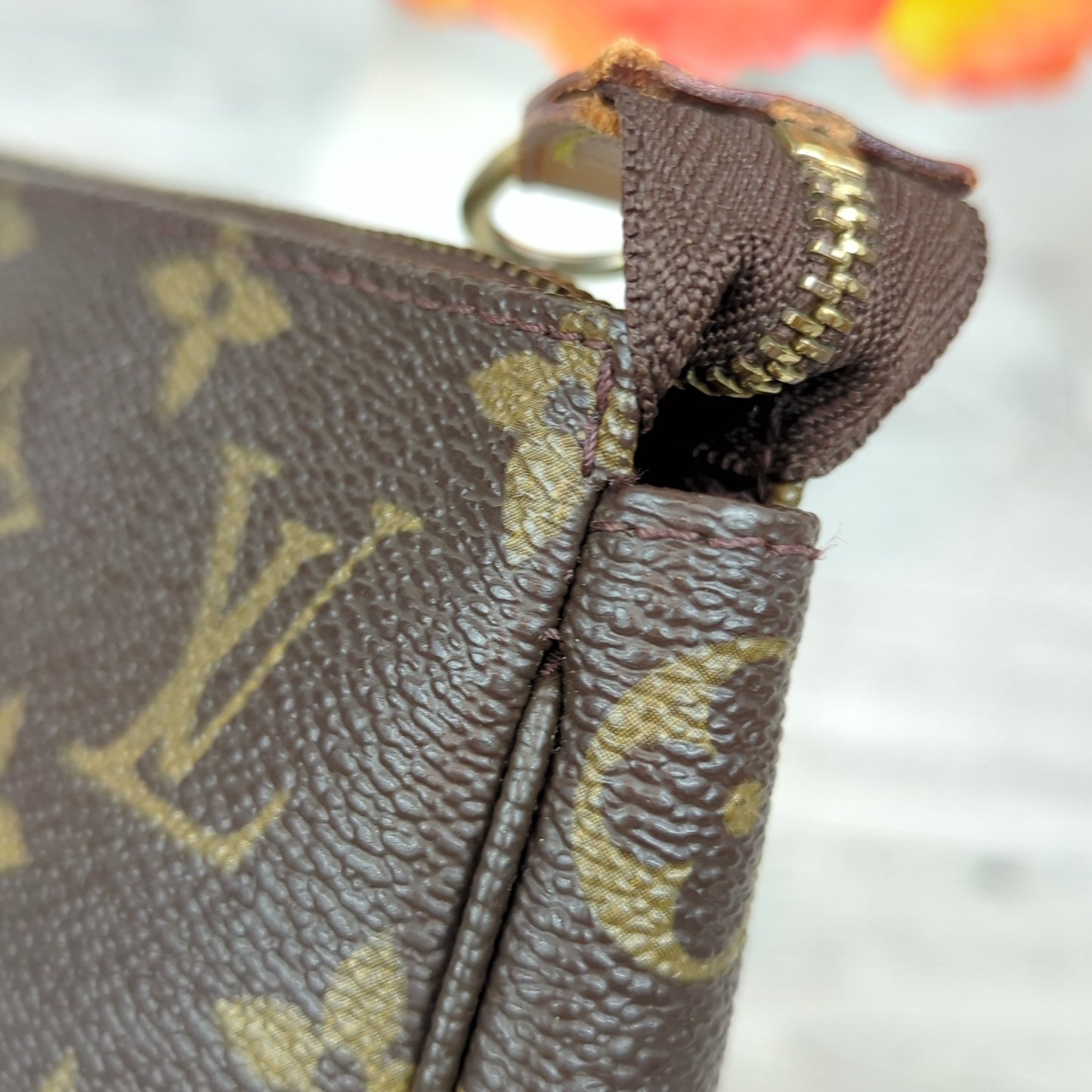 Louis Vuitton Pochette Accessories Monogram Canvas