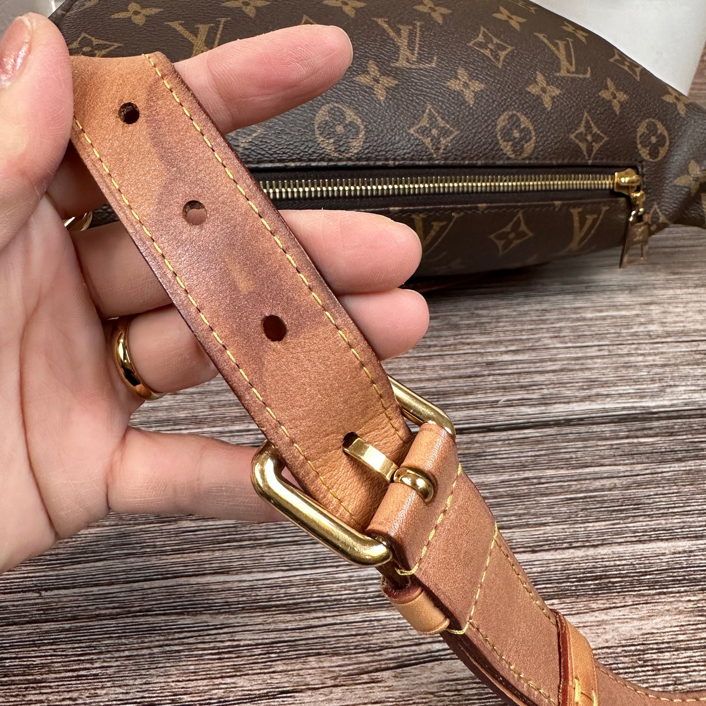 Louis Vuitton Monogram Bum Bag