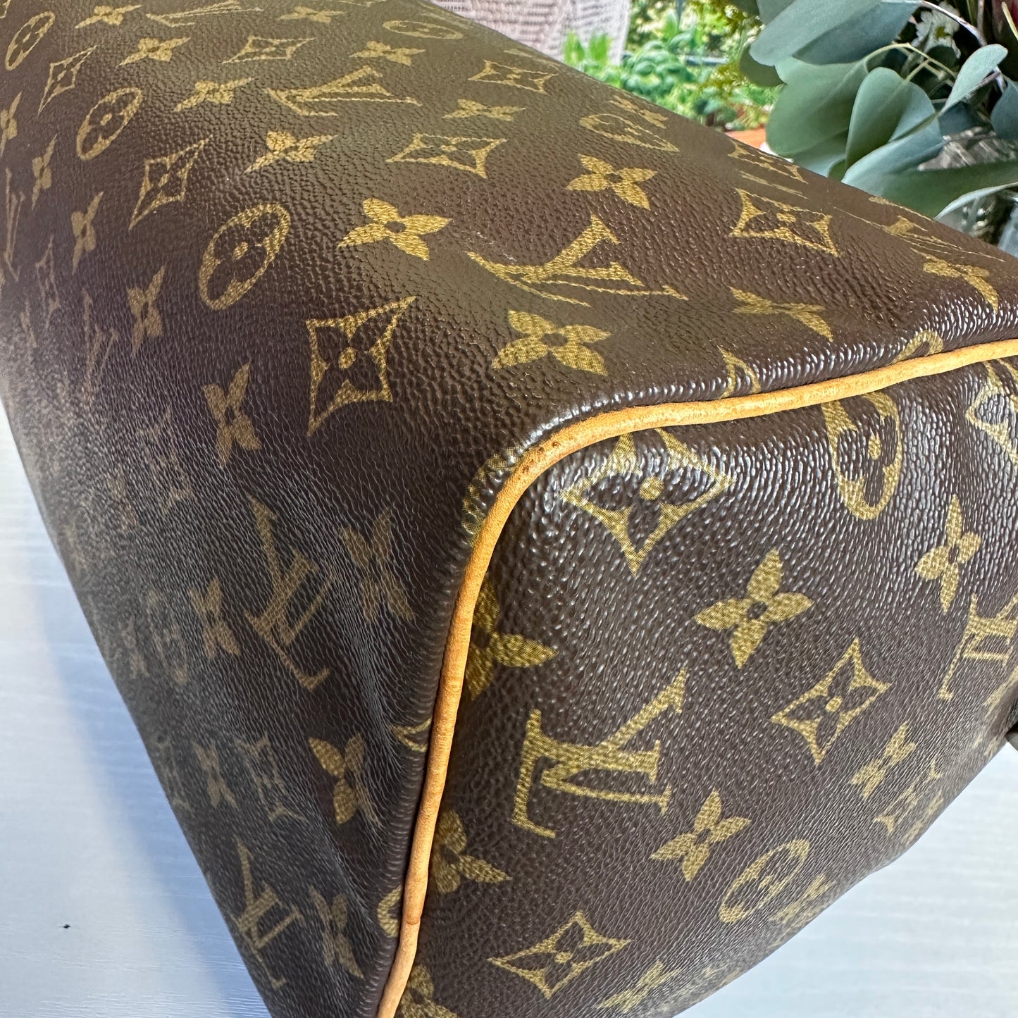 Louis Vuitton Monogram Speedy 30