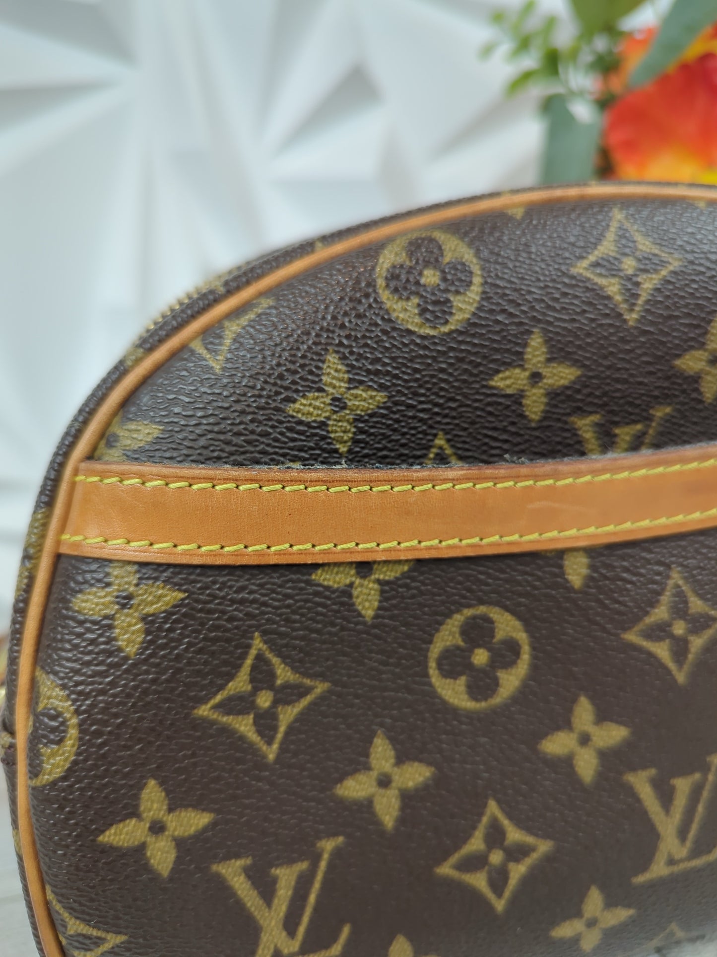 Louis Vuitton Blois Crossbody Bag
