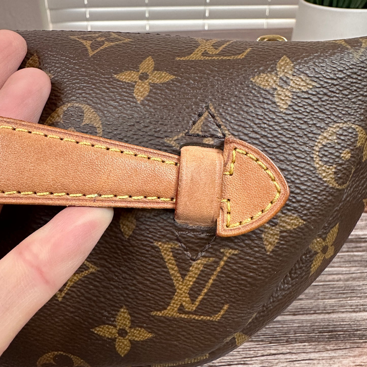 Louis Vuitton Monogram Bum Bag