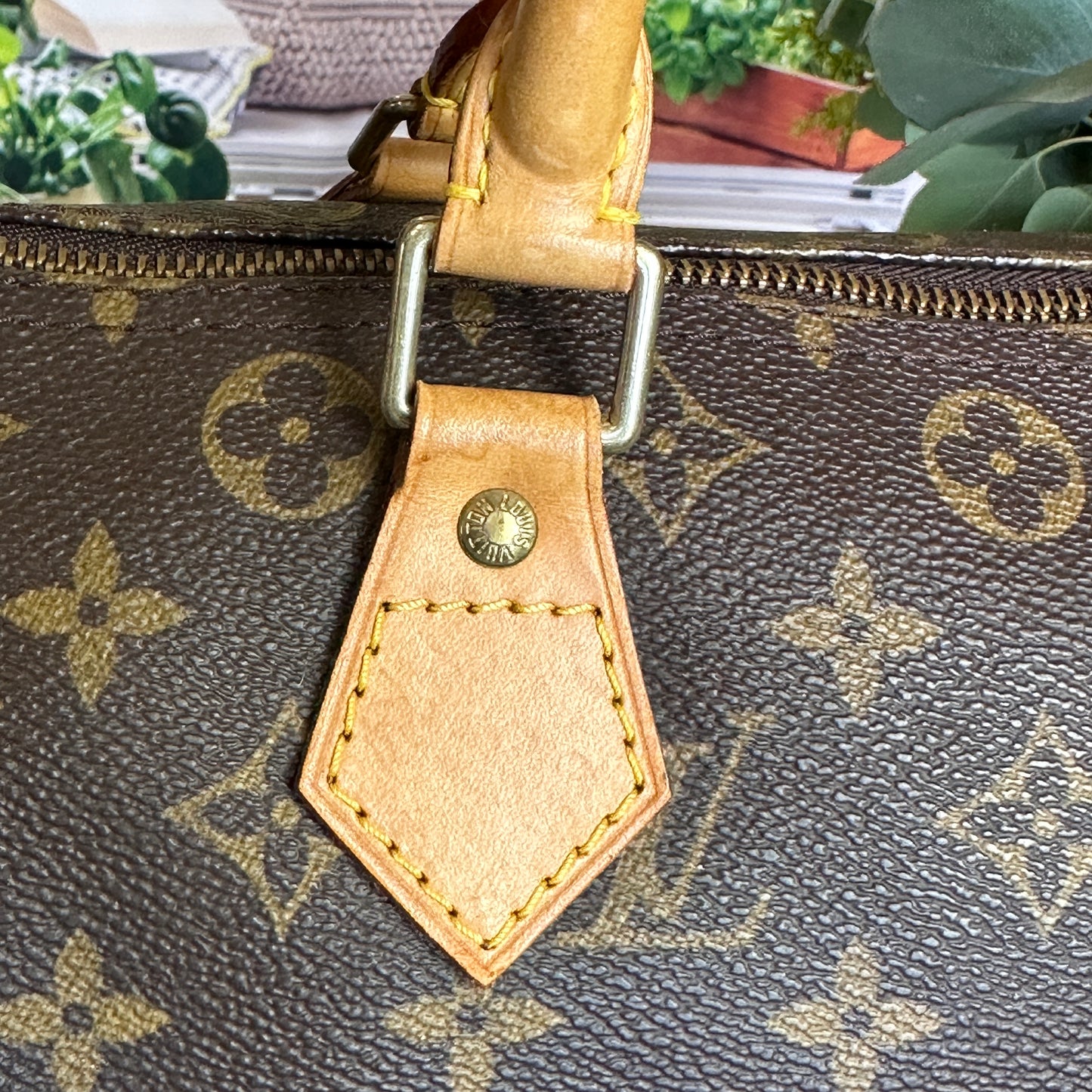 Louis Vuitton Monogram Speedy 30