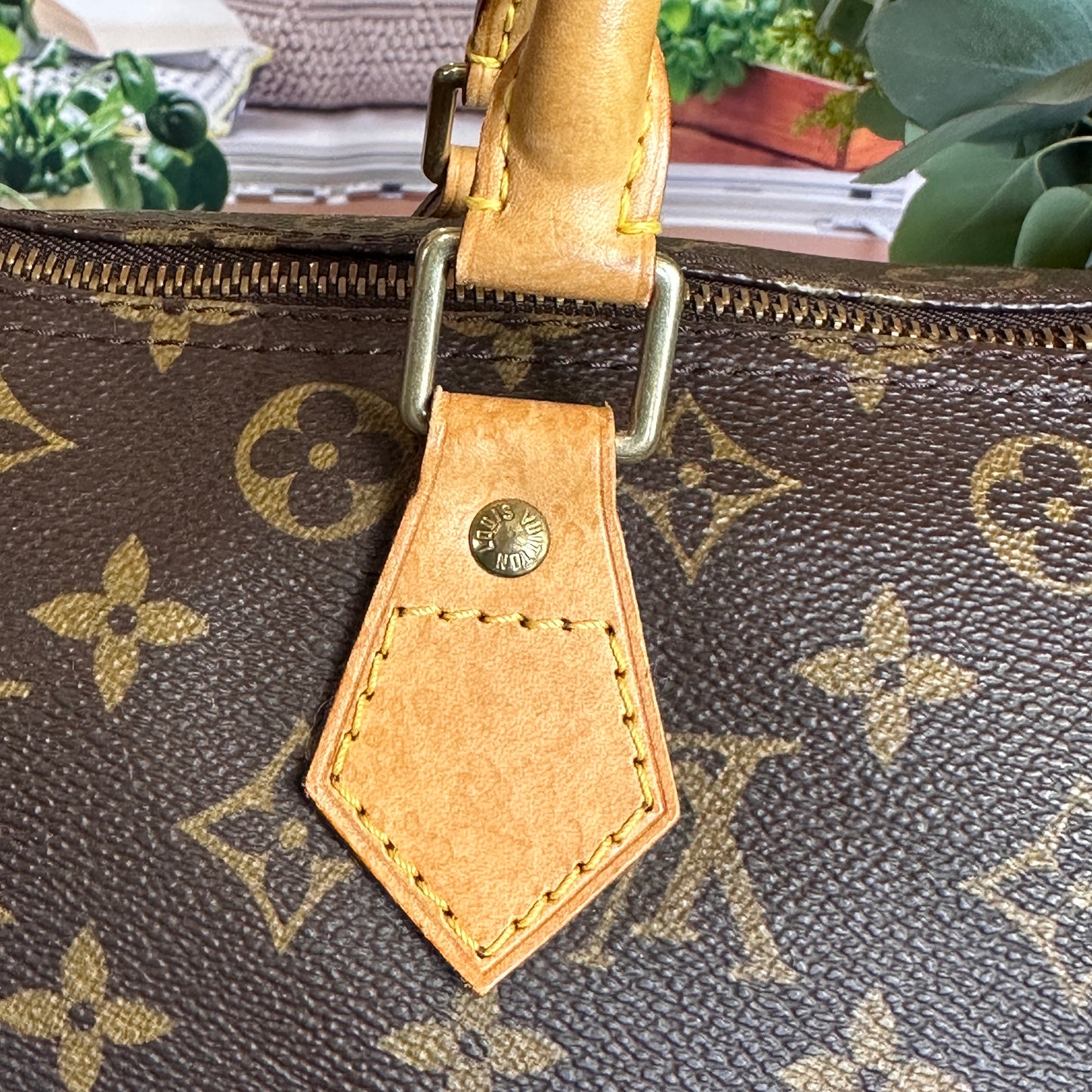 Louis Vuitton Monogram Speedy 30