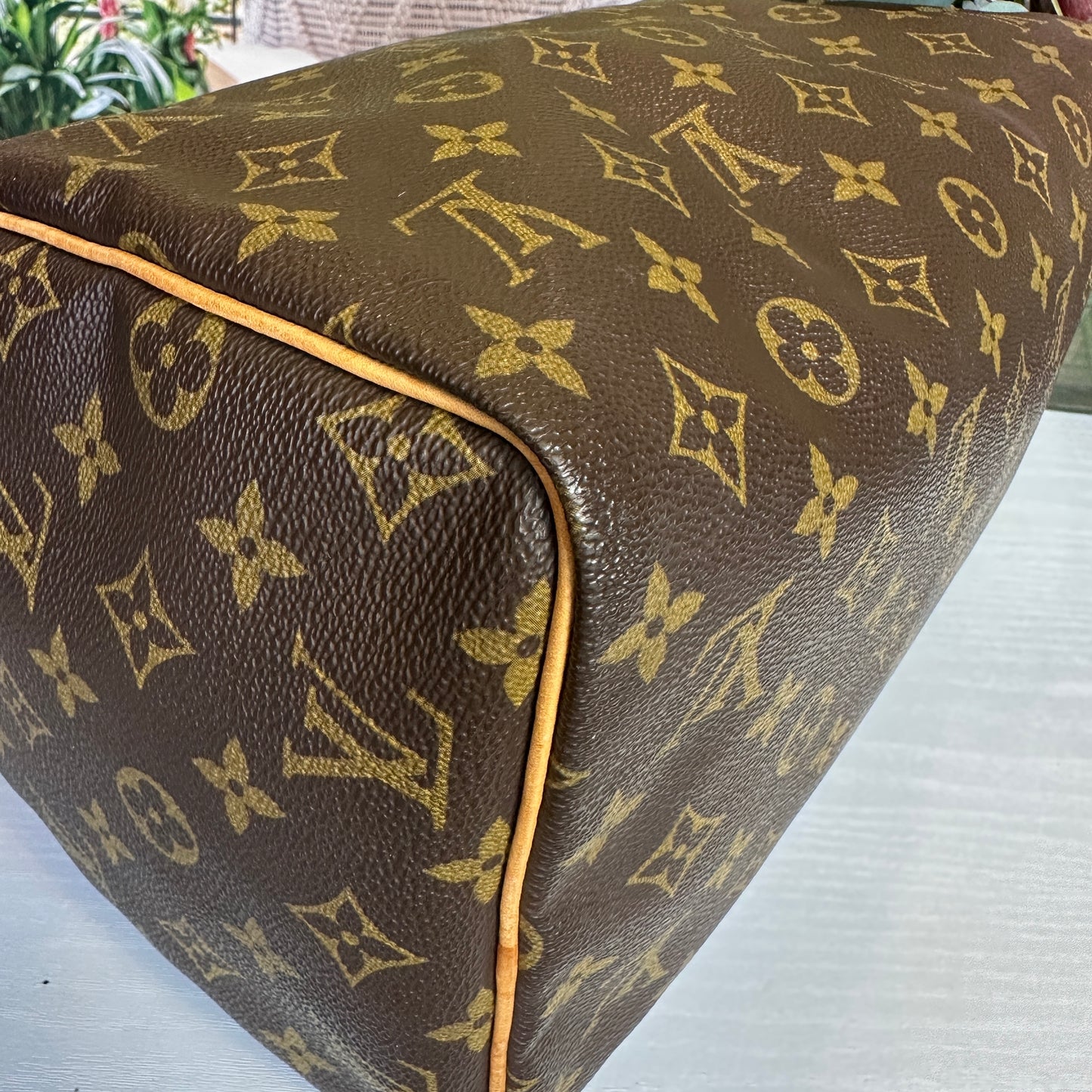 Louis Vuitton Monogram Speedy 30