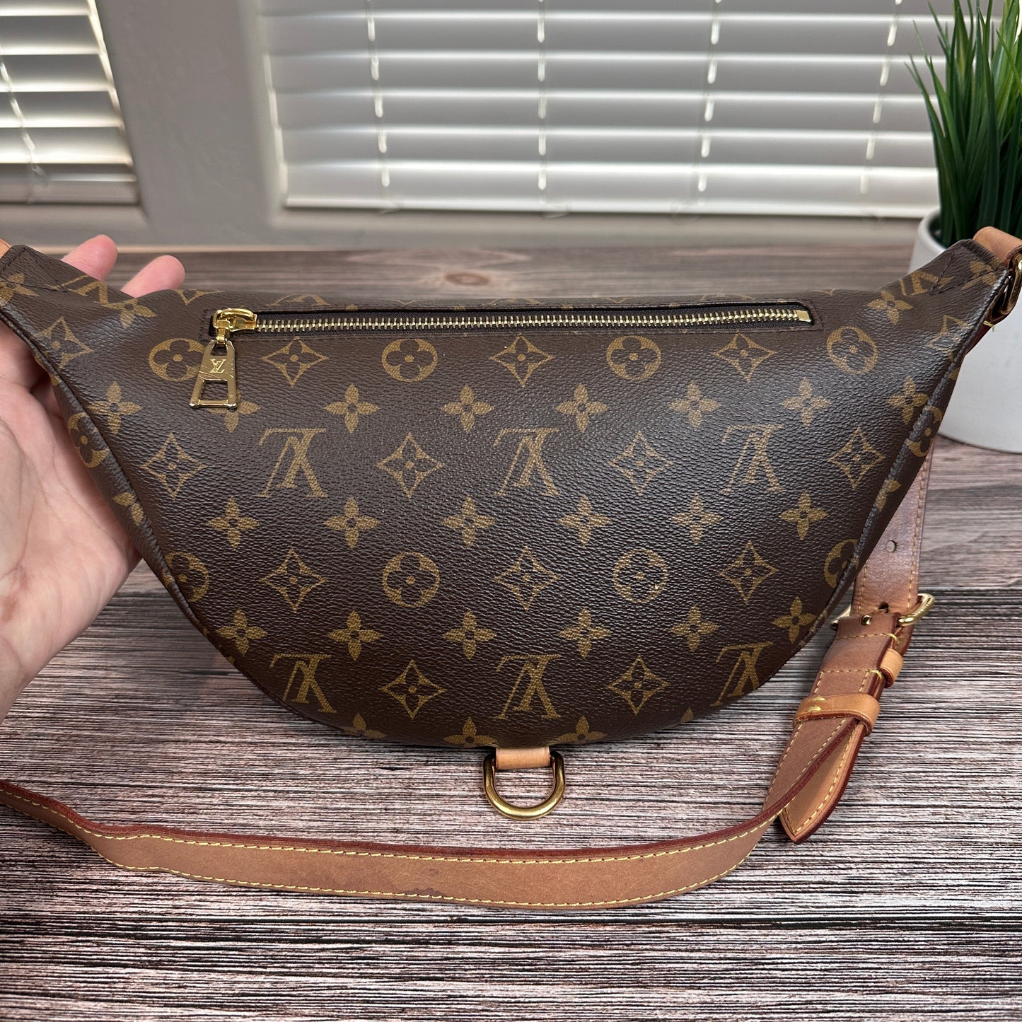 Louis Vuitton Monogram Bum Bag