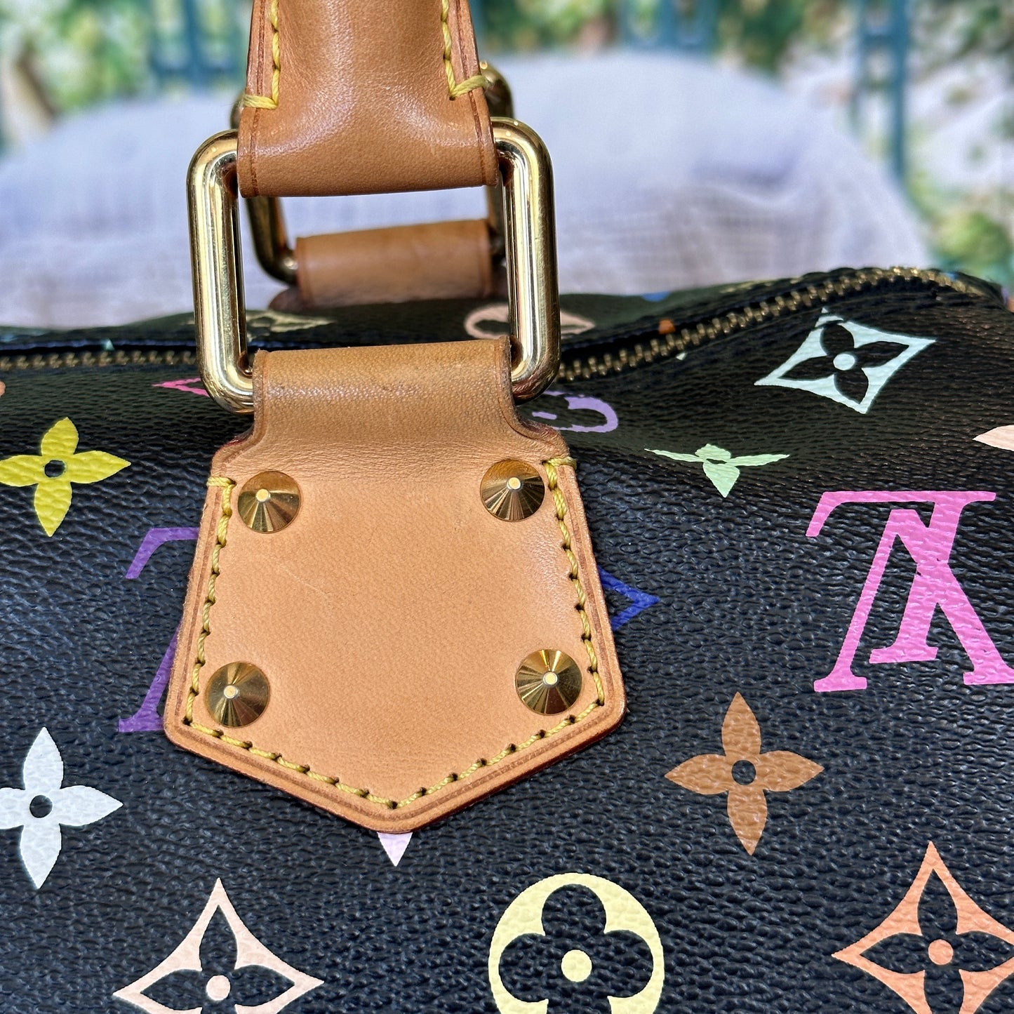 Louis Vuitton Murakami Black Multicolor Speedy 30