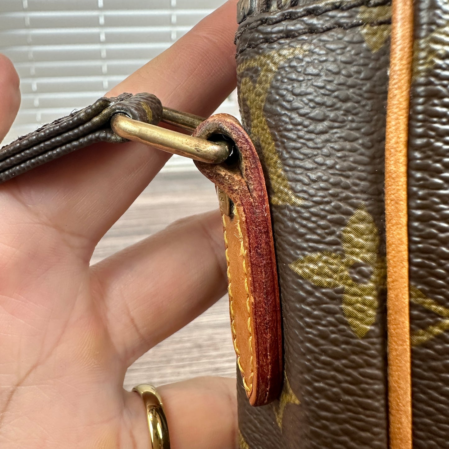Louis Vuitton Vintage Danube PM Crossbody