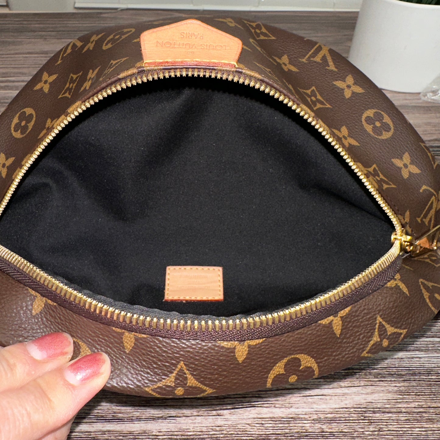 Louis Vuitton Monogram Bum Bag