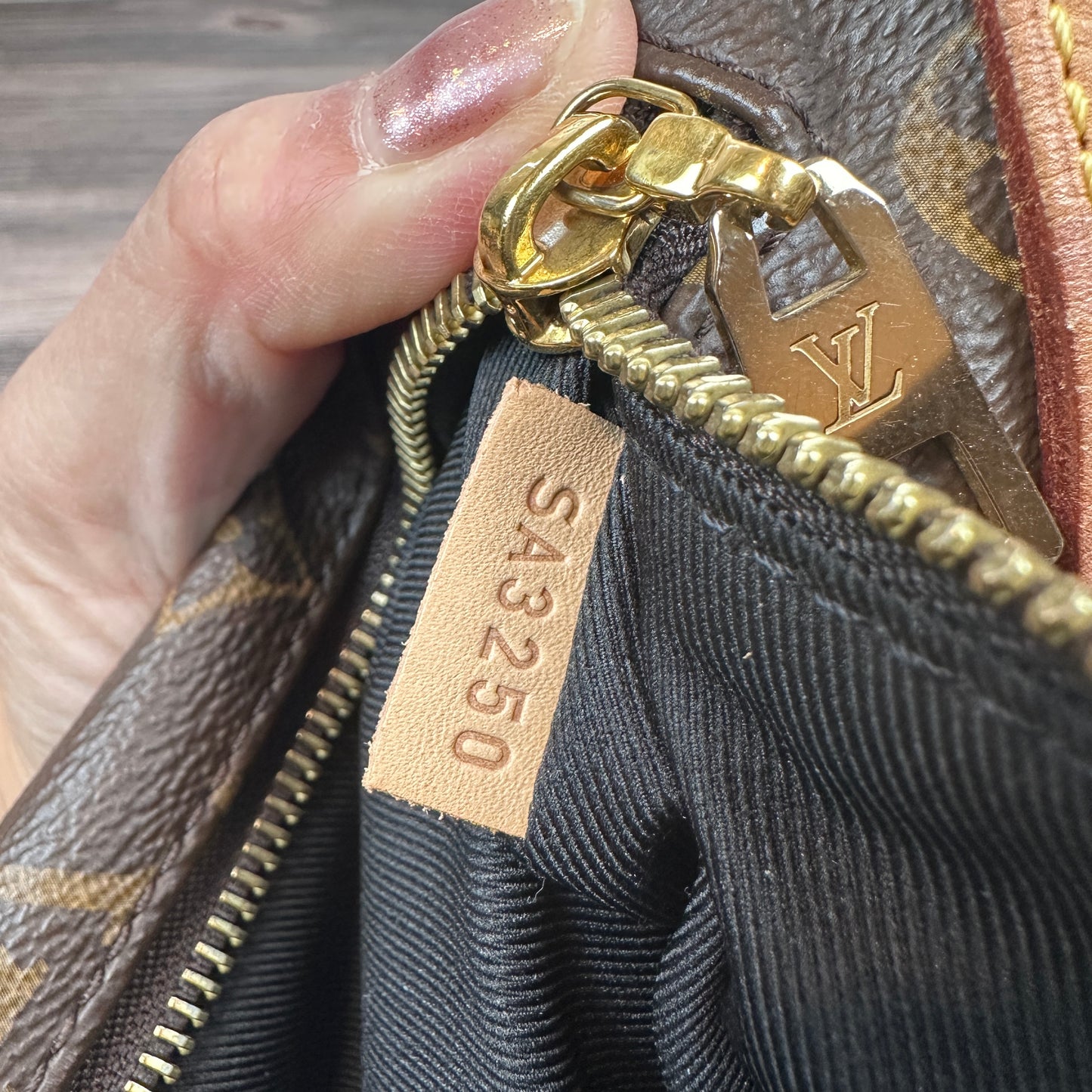 Louis Vuitton Monogram Bum Bag