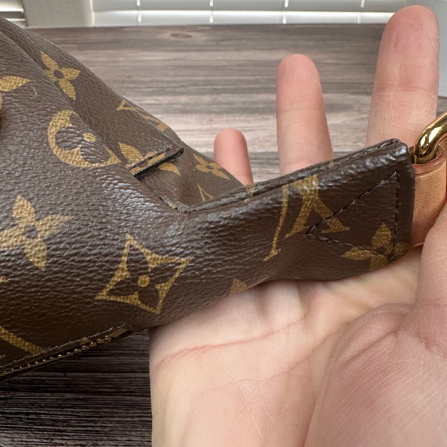 Louis Vuitton Monogram Bum Bag
