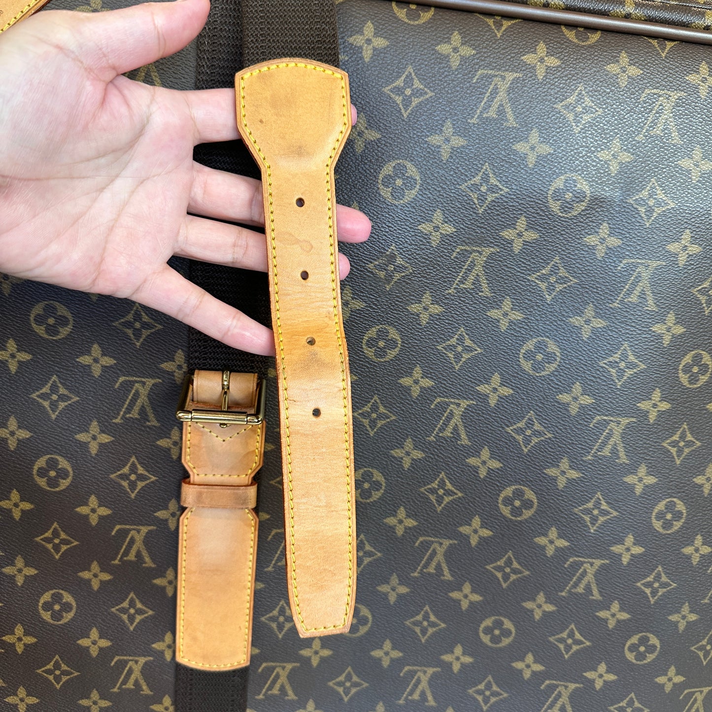 Louis Vuitton Monogram Satellite 70 Suitcase