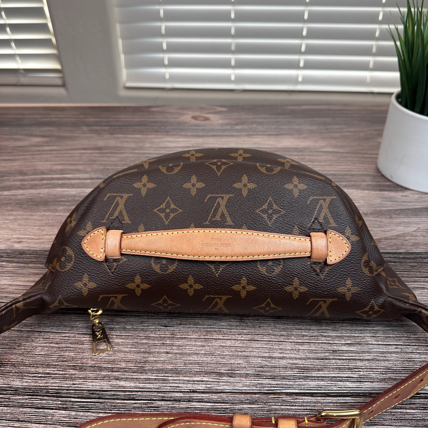 Louis Vuitton Monogram Bum Bag