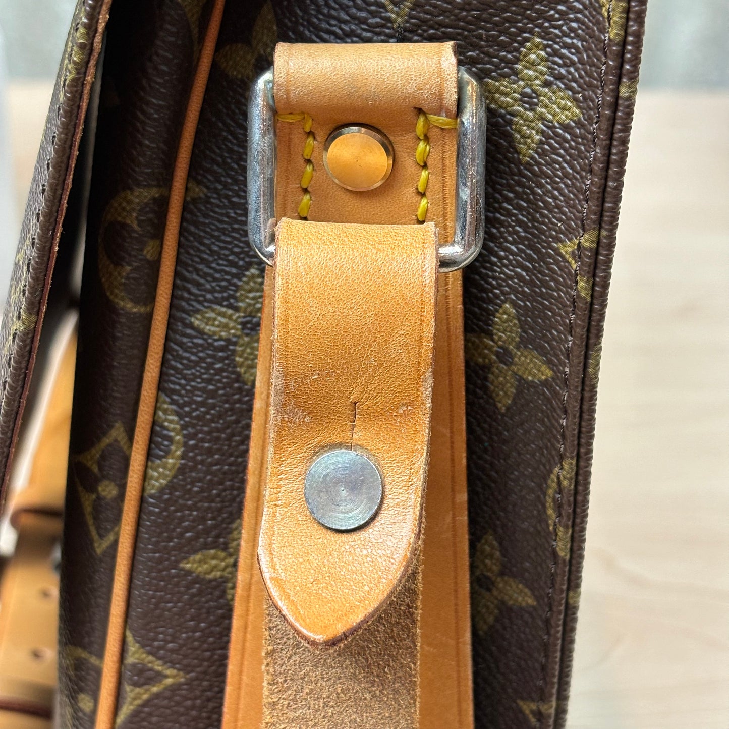 Cartouchiere GM Crossbody Bag