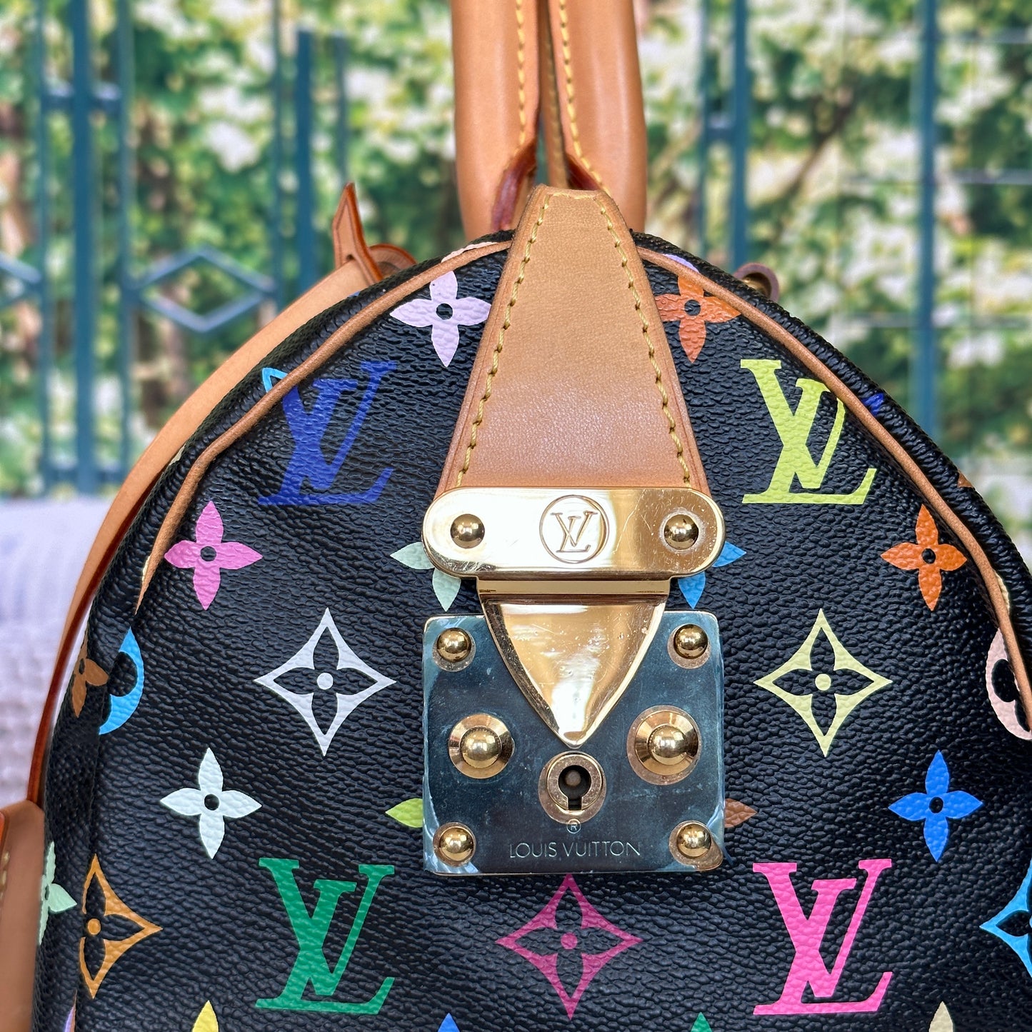 Louis Vuitton Murakami Black Multicolor Speedy 30