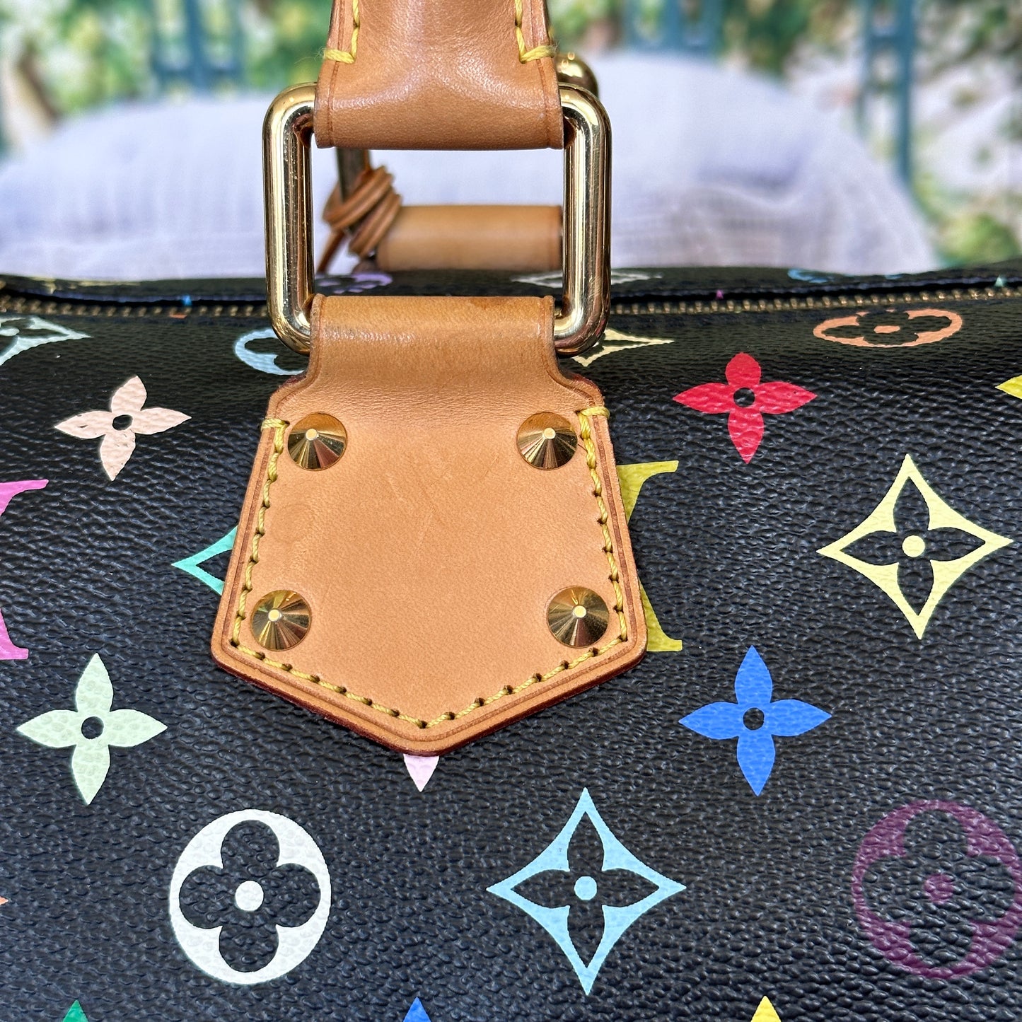 Louis Vuitton Murakami Black Multicolor Speedy 30