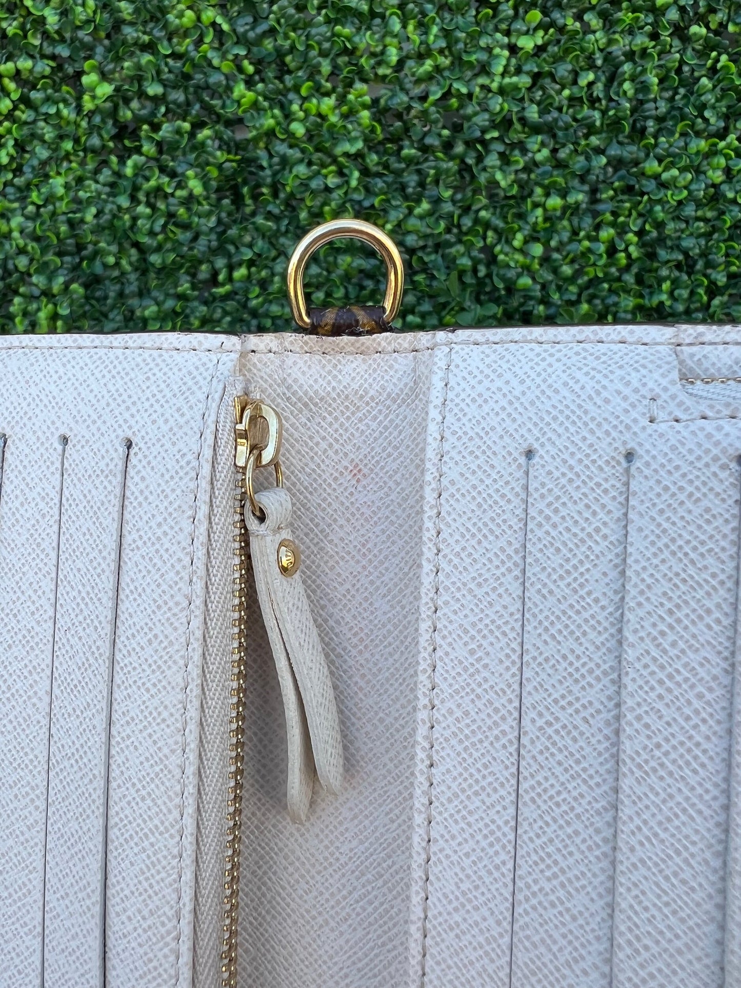 Insolite Monogram Canvas Clutch/Wallet