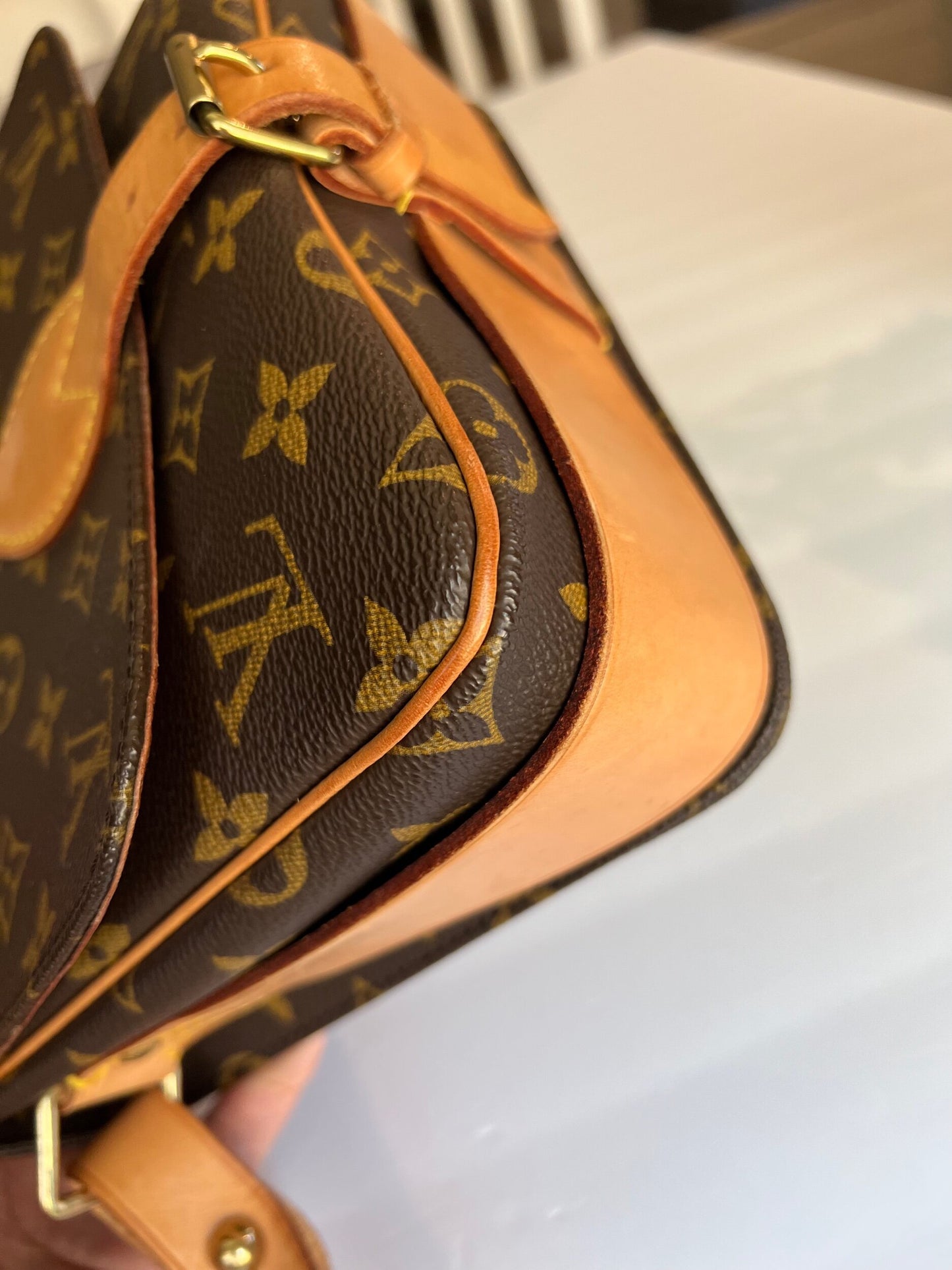 Cartouchiere MM Monogram Bag