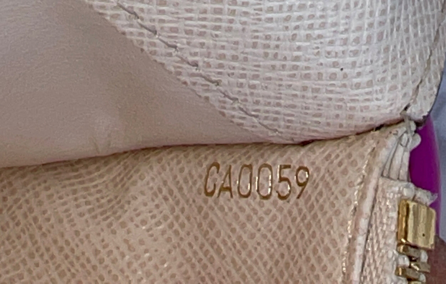 Insolite Monogram Canvas Clutch/Wallet