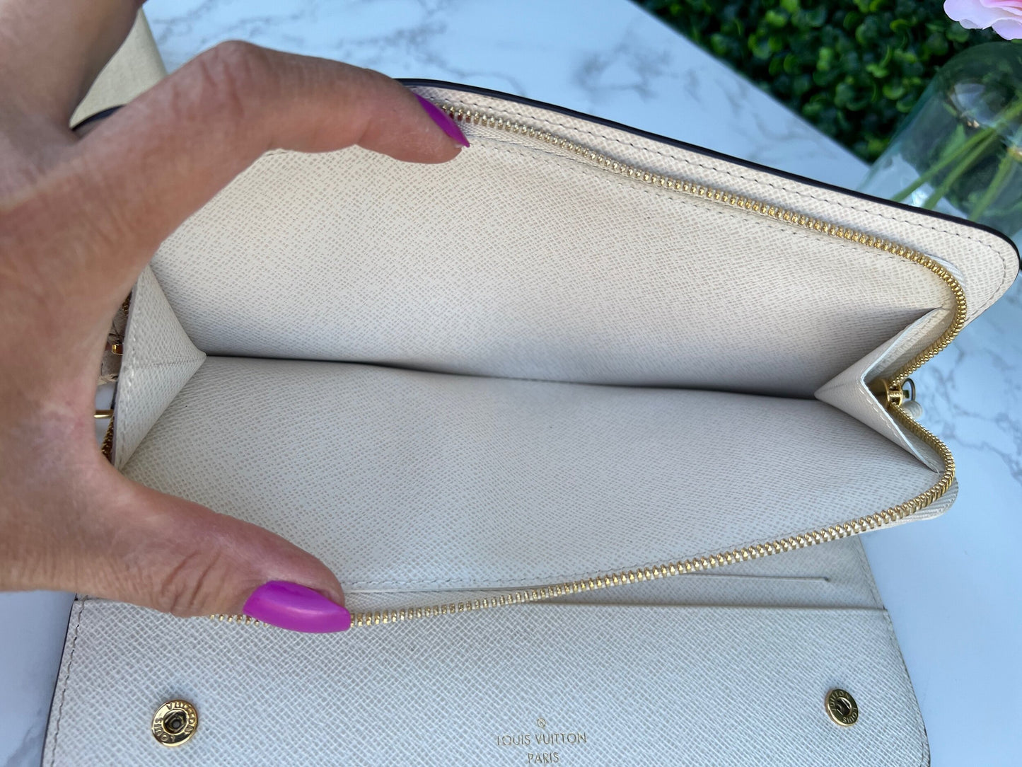 Insolite Monogram Canvas Clutch/Wallet