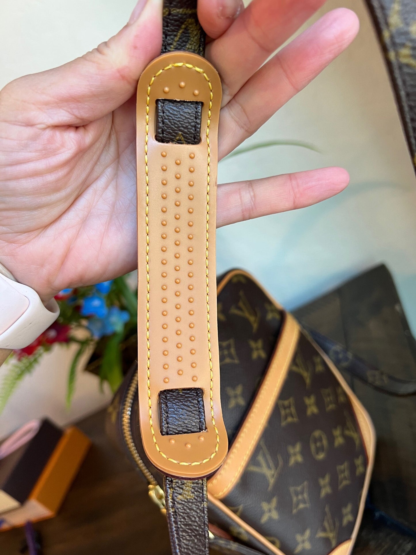 Danube PM Monogram Crossbody Bag