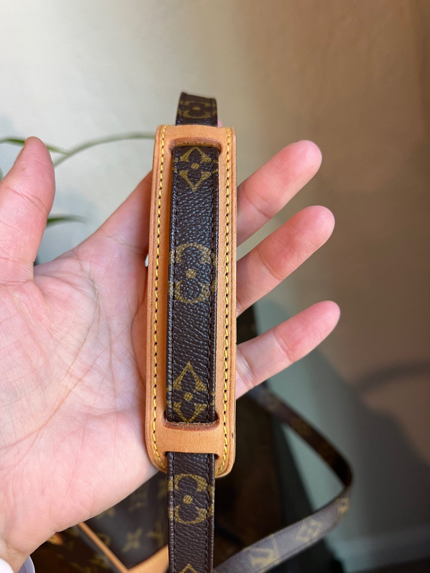 Danube PM Monogram Crossbody Bag
