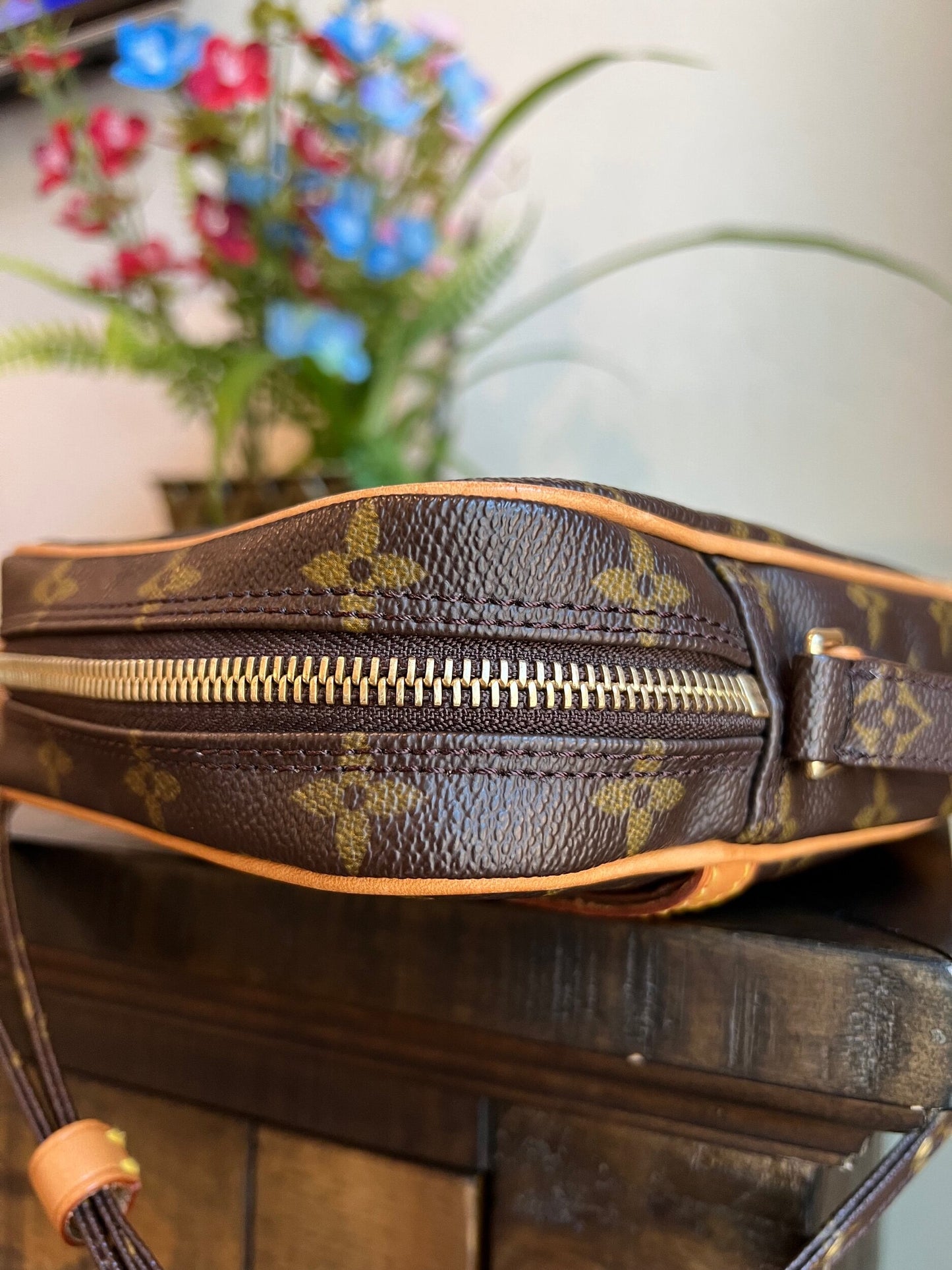 Danube PM Monogram Crossbody Bag