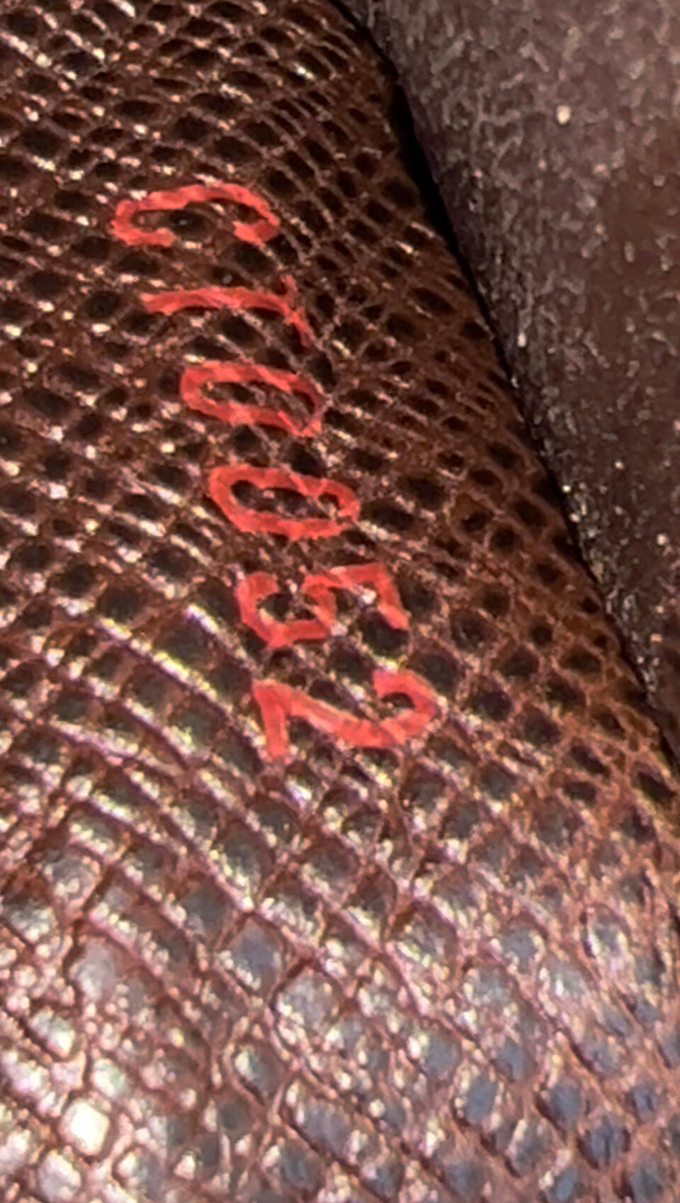 Damier Ebene Checkbook Credit Card and Currency Wallet
