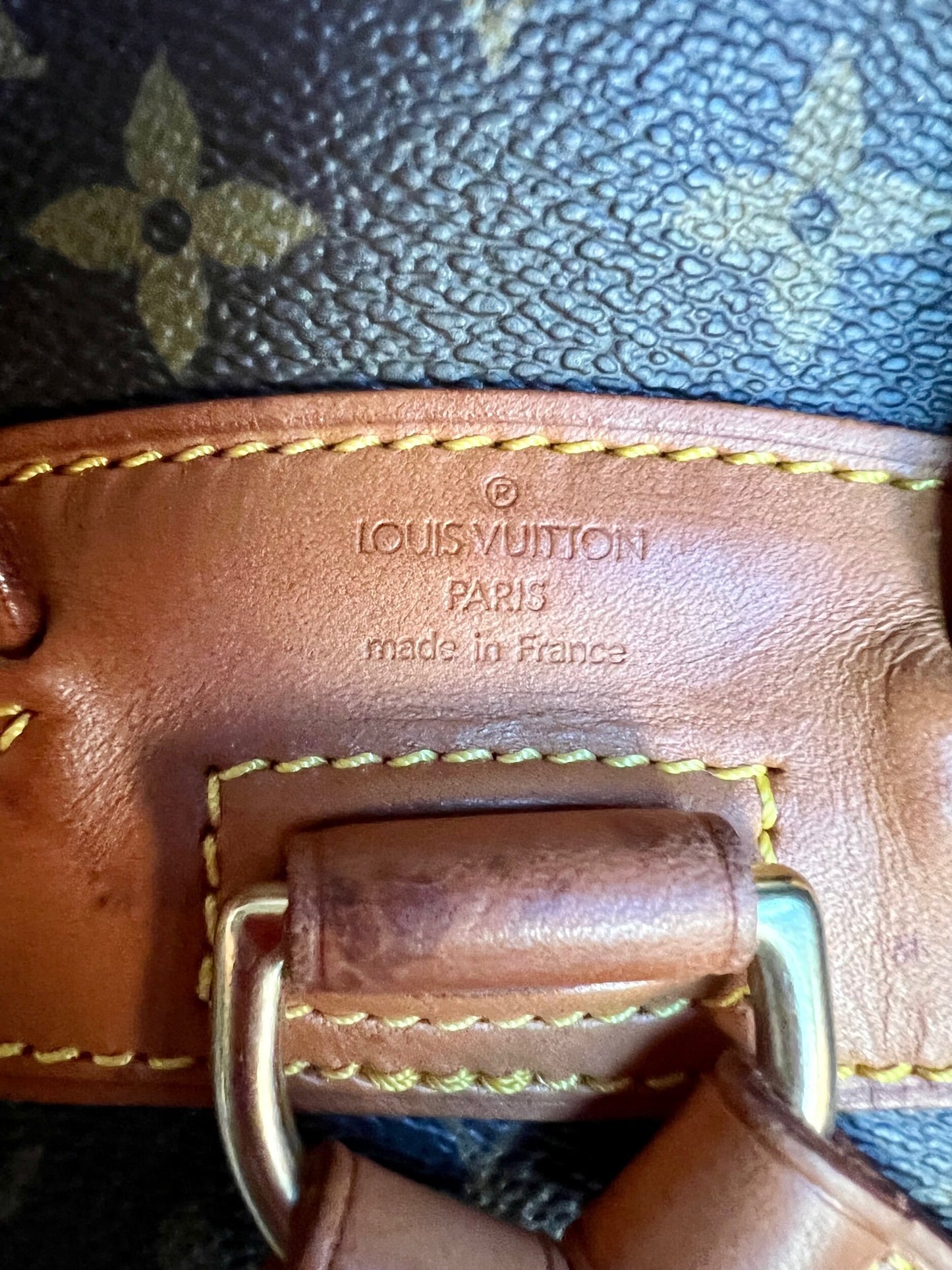 Montsouris PM aka Mini Monogram Canvas Backpack