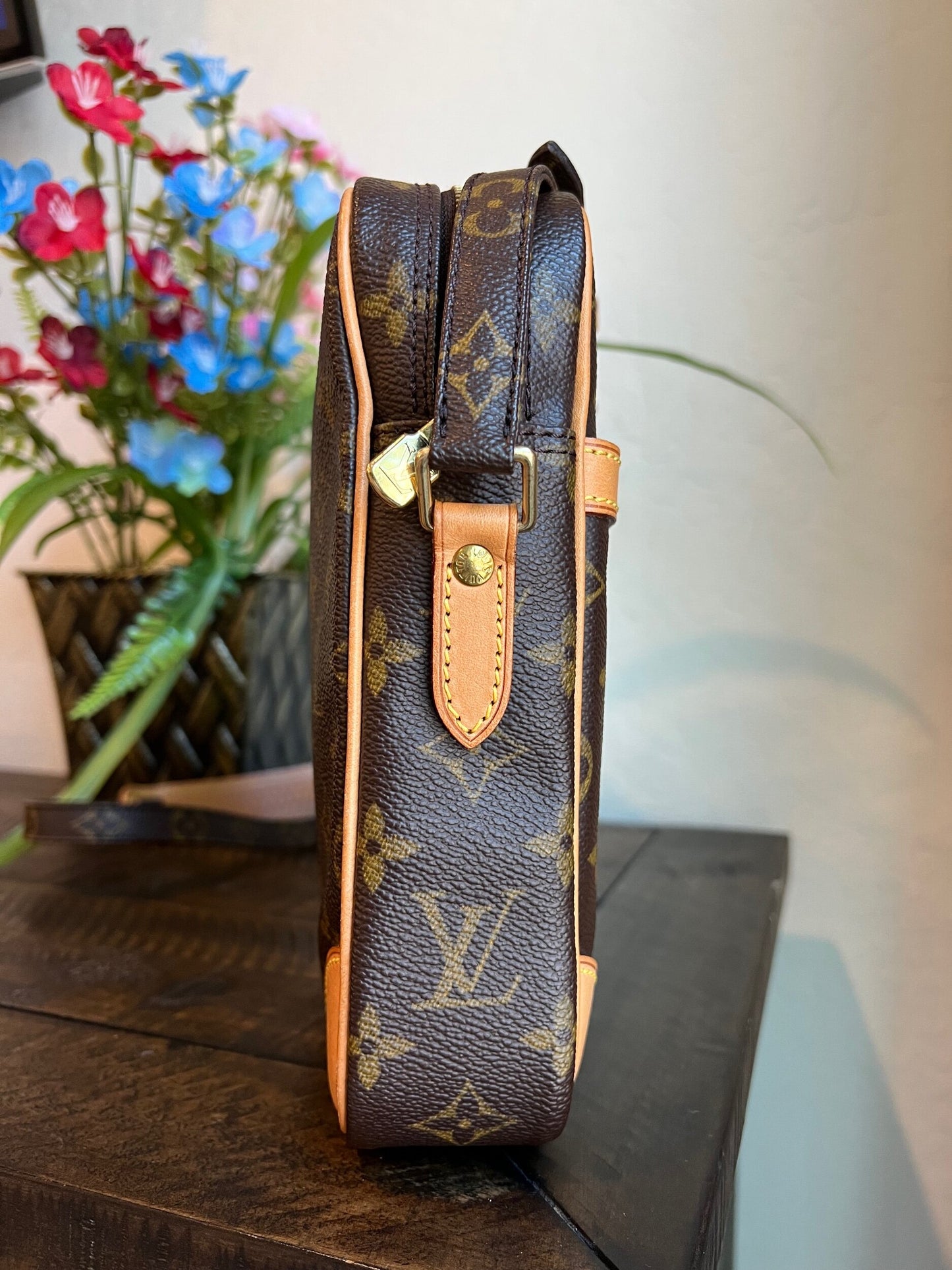 Danube PM Monogram Crossbody Bag