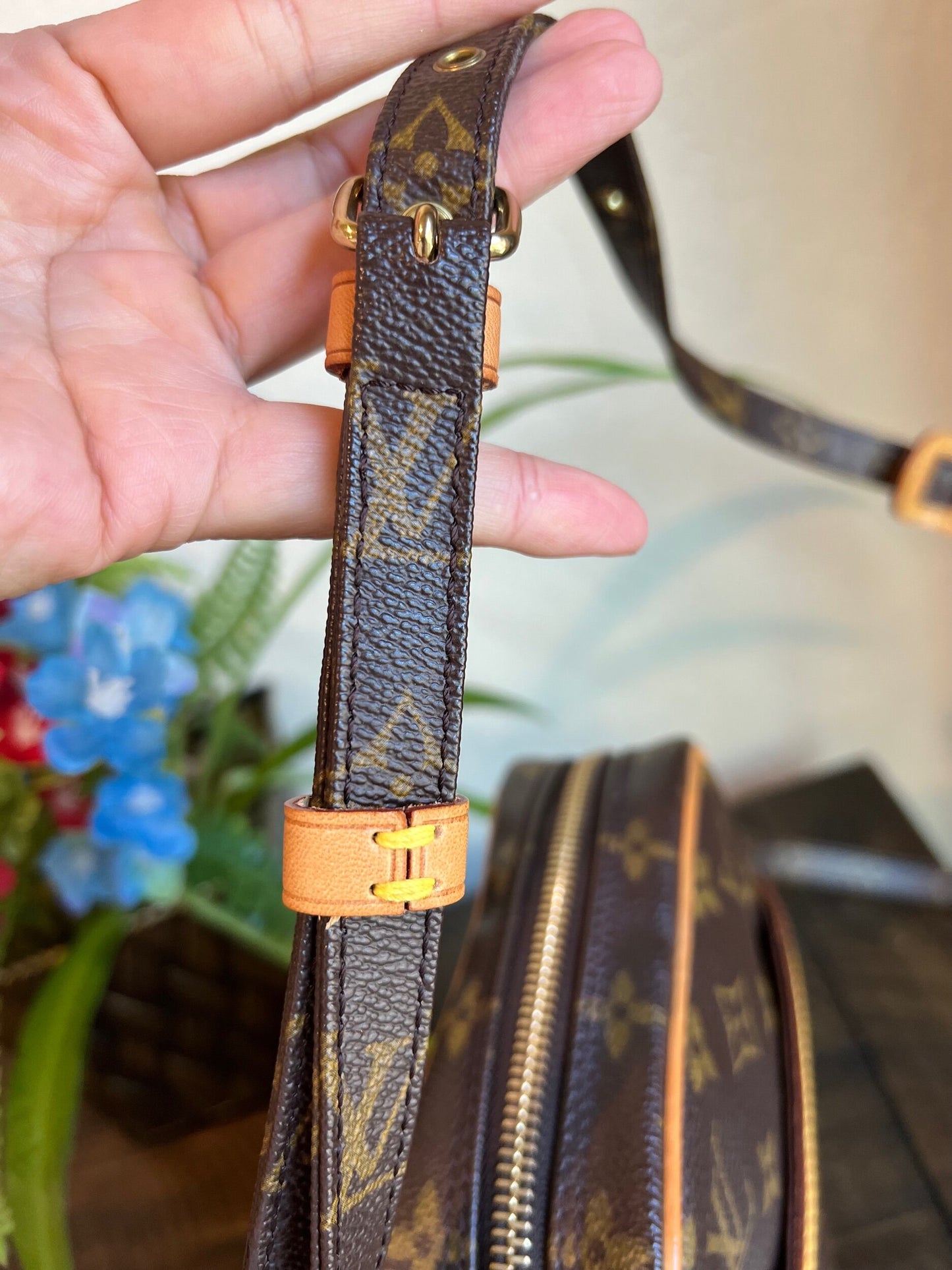 Danube PM Monogram Crossbody Bag