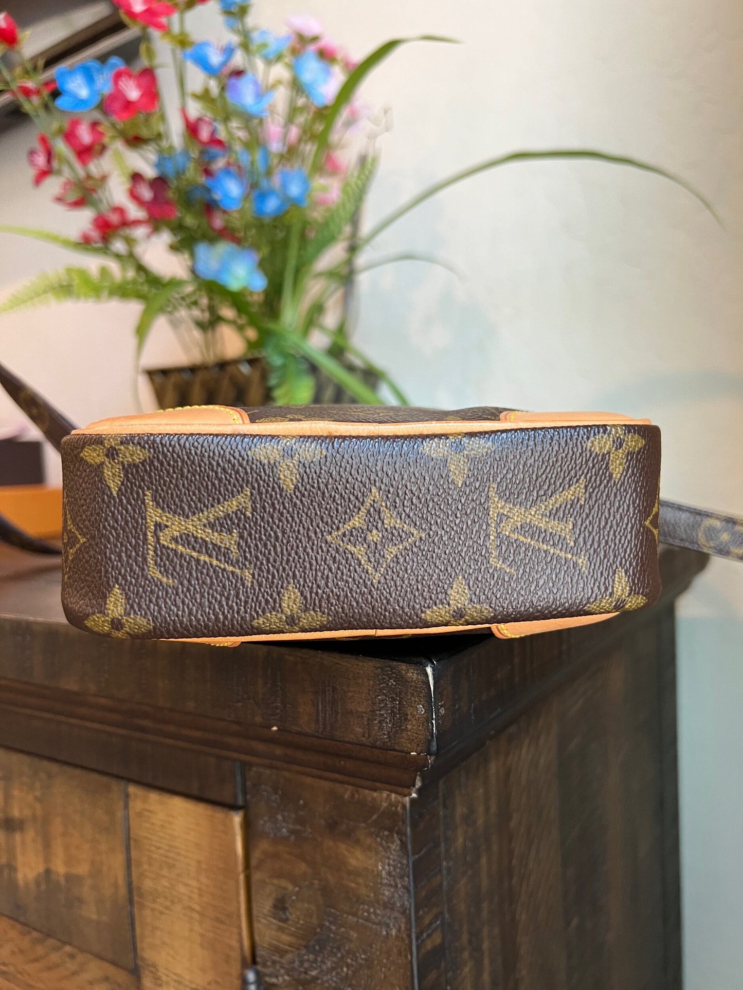 Danube PM Monogram Crossbody Bag