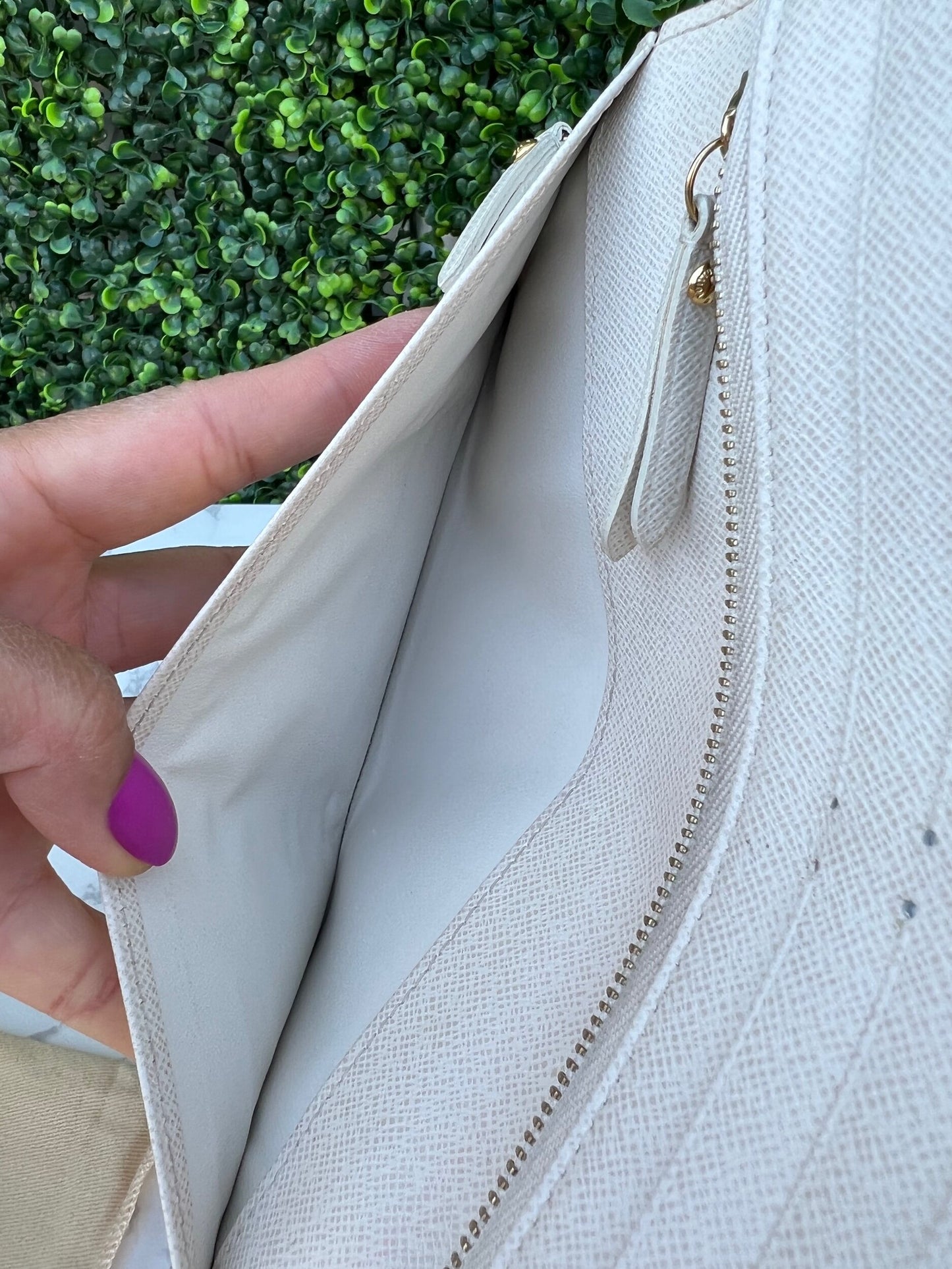 Insolite Monogram Canvas Clutch/Wallet