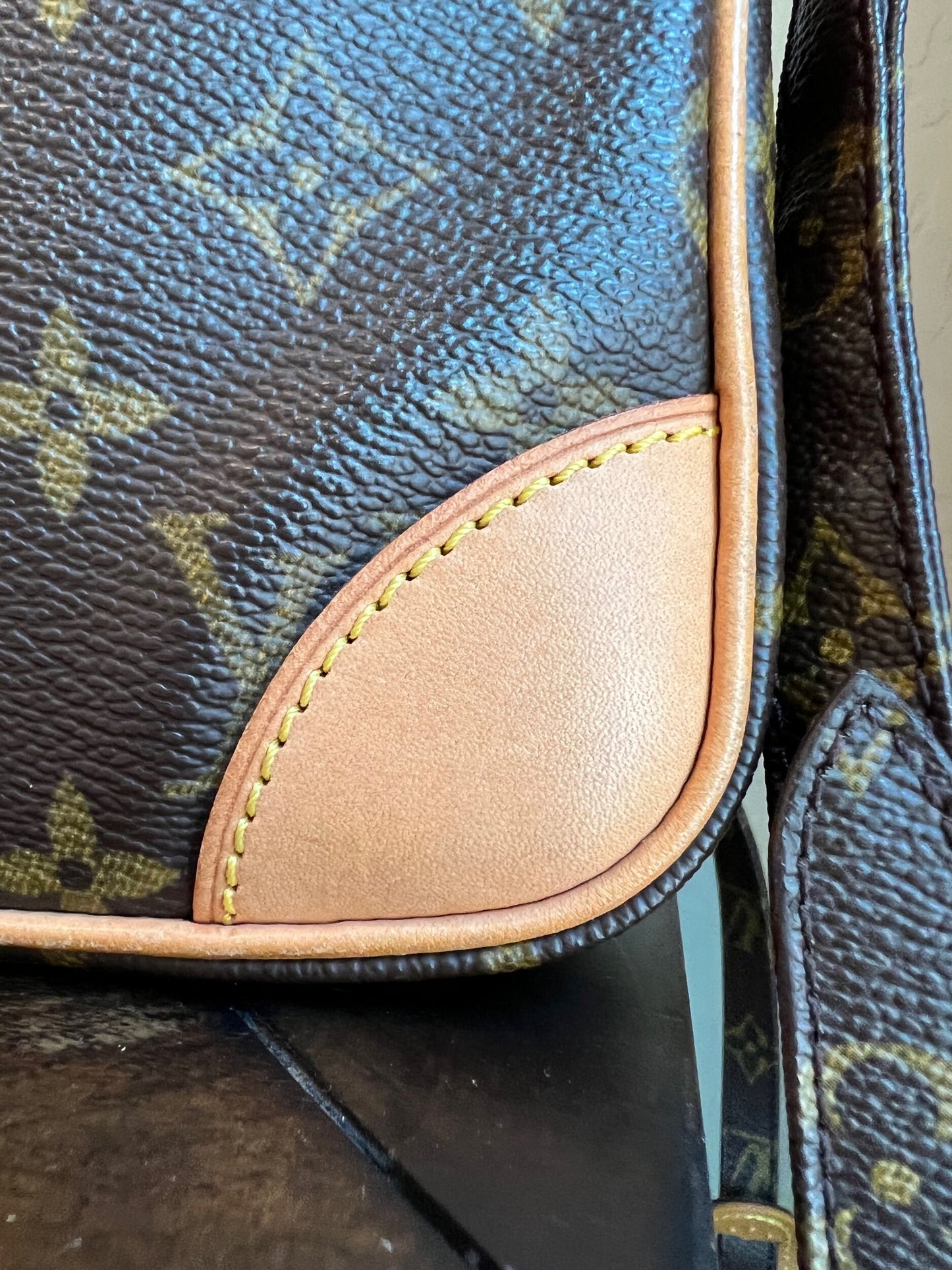 Danube PM Monogram Crossbody Bag