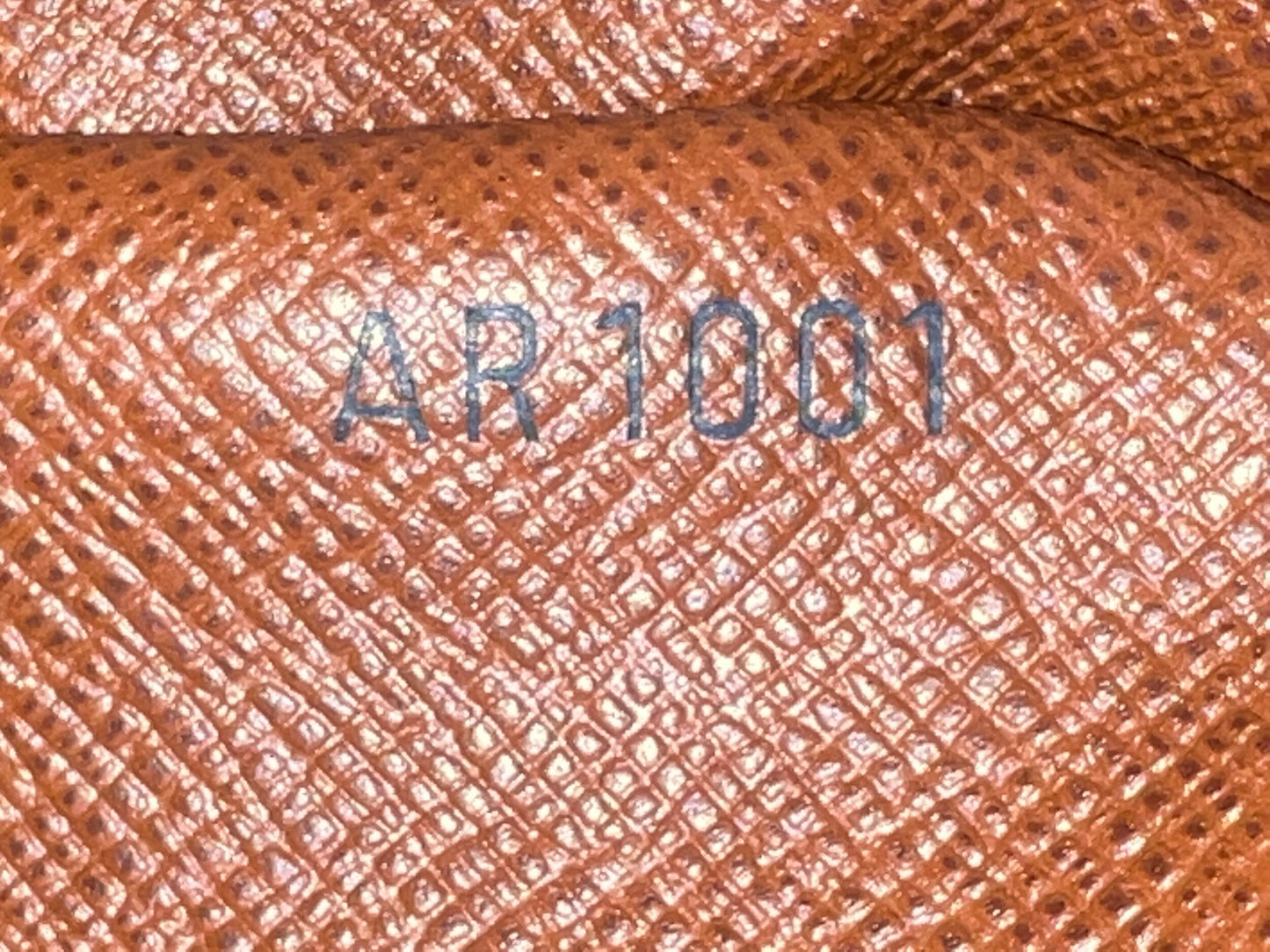 Danube PM Monogram Crossbody Bag