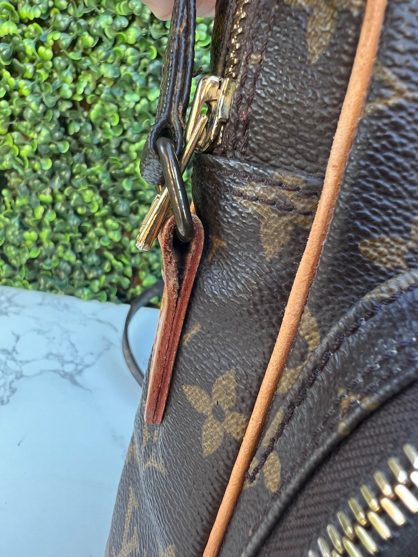Authentic LV Monogram Amazone Crossbody Bag